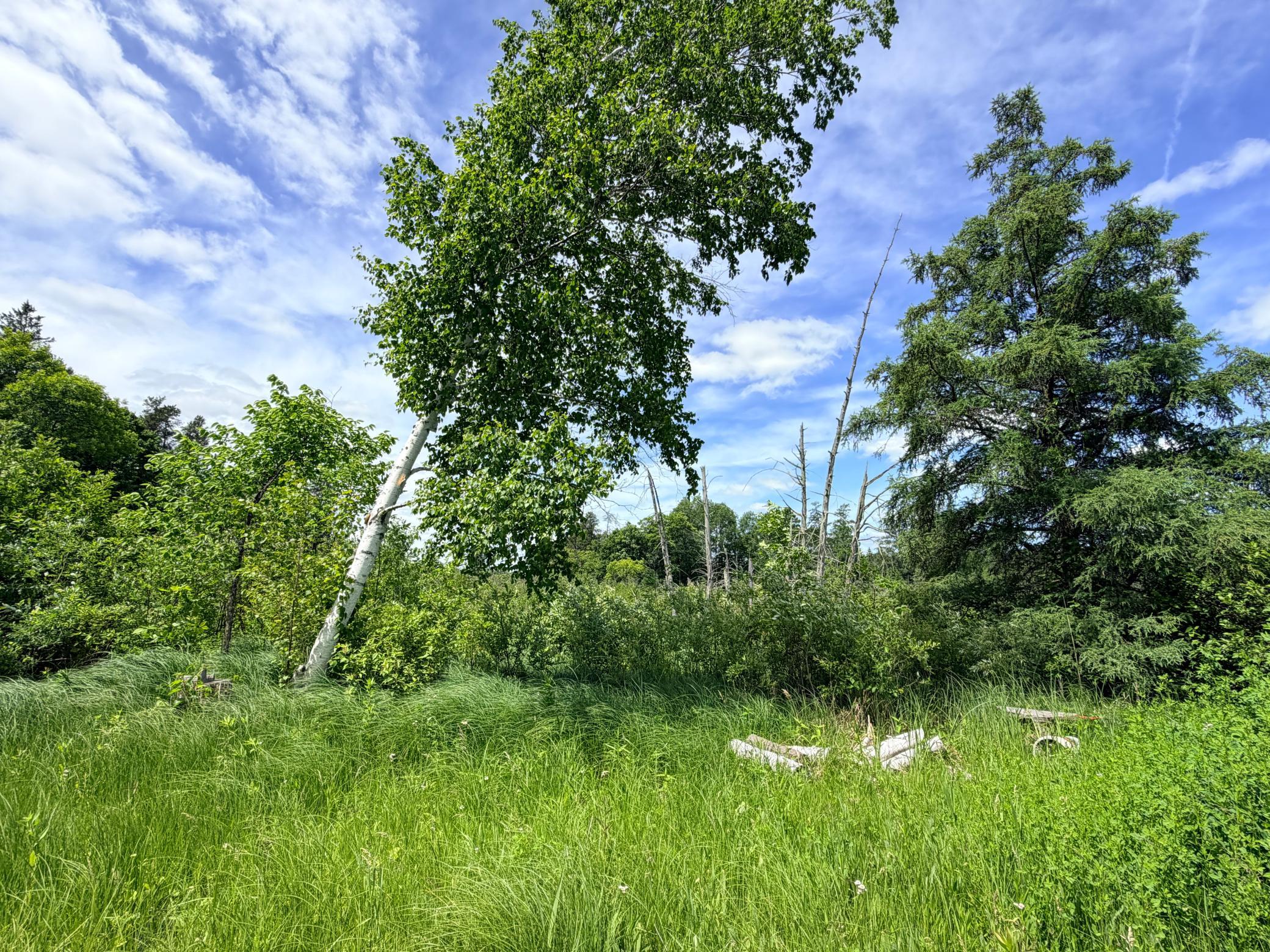 14220 Stocking Lake Road, Menahga MN 56464 - Photo 8 of 41