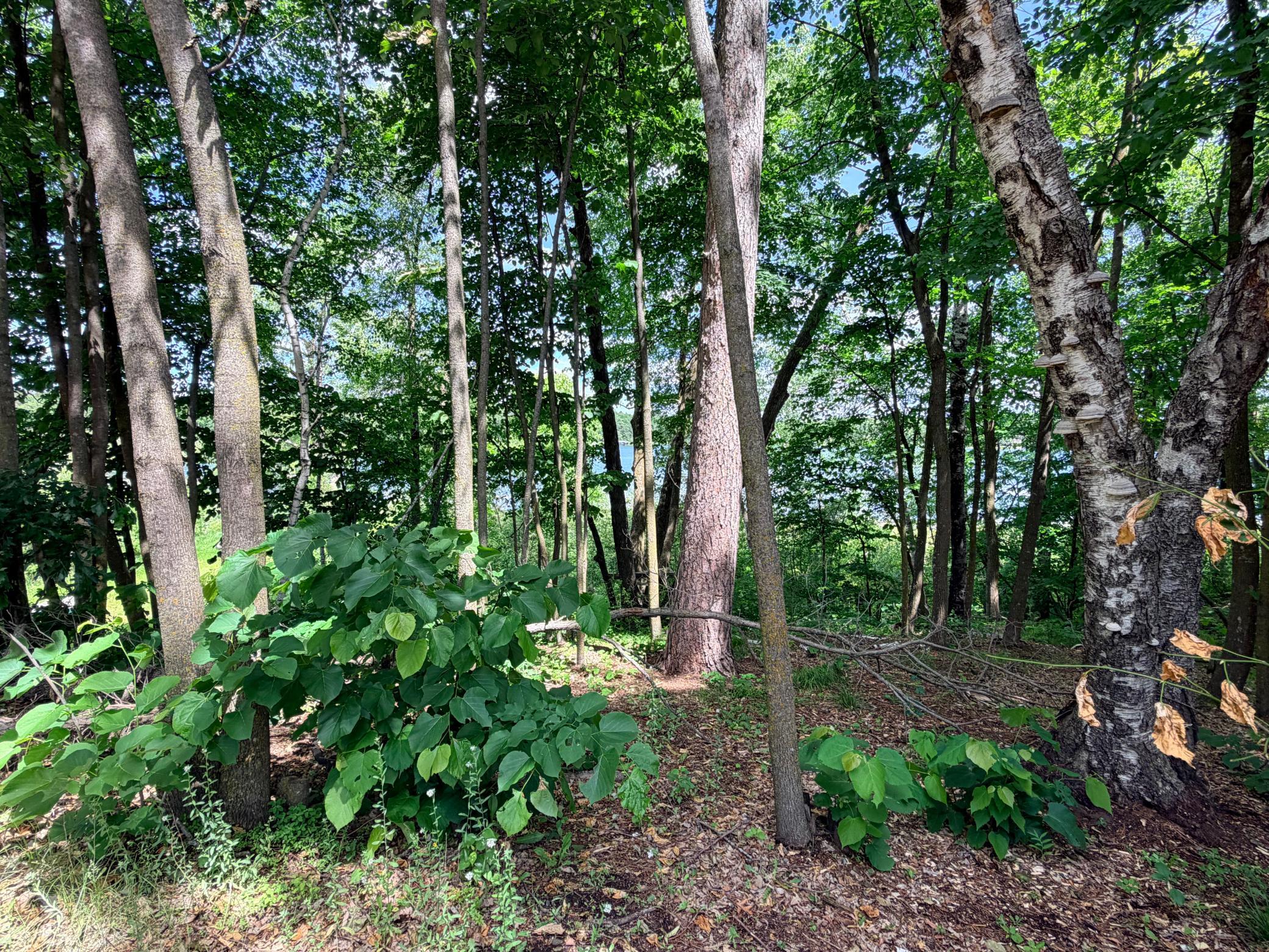 14220 Stocking Lake Road, Menahga MN 56464 - Photo 10 of 41