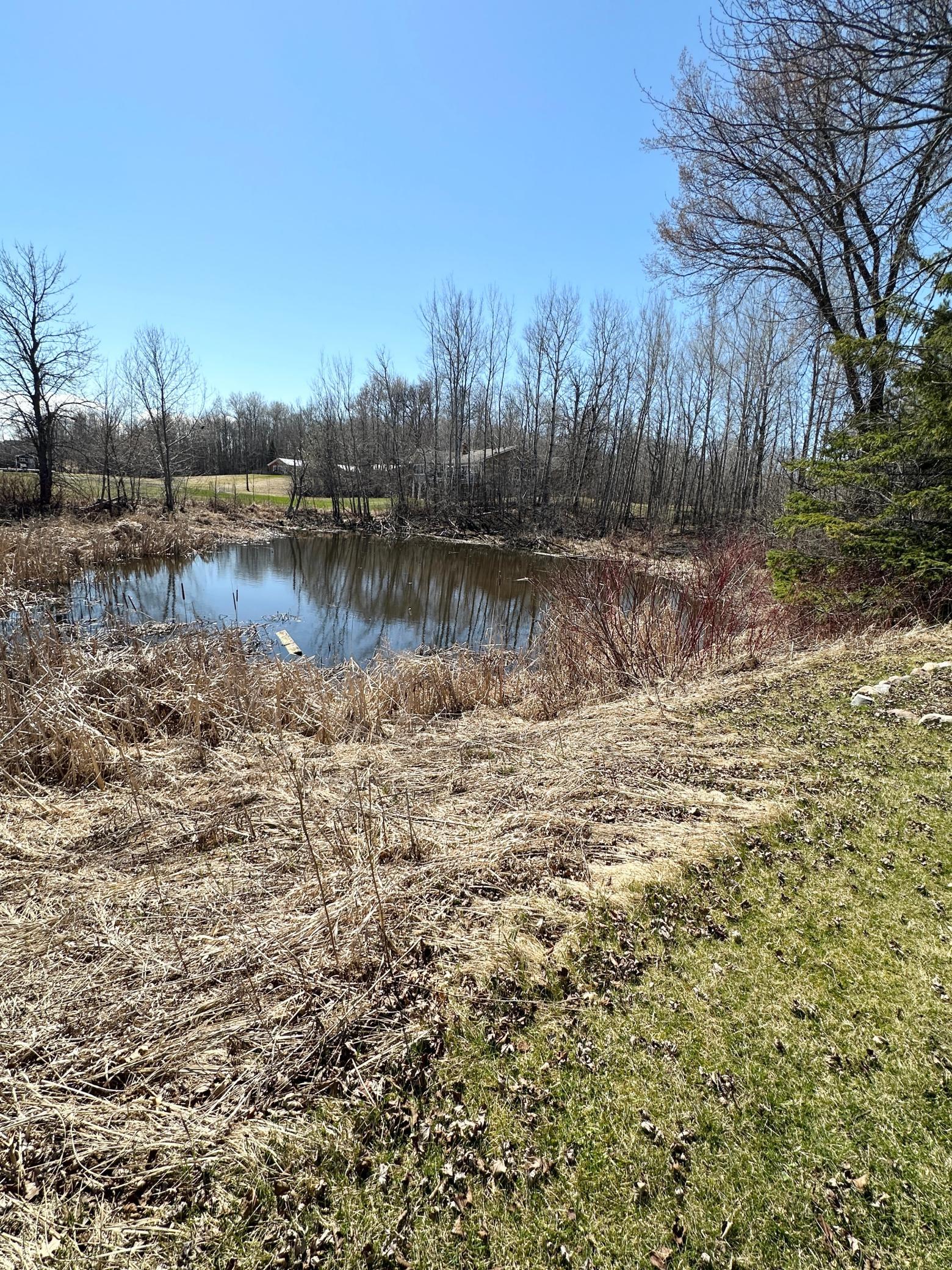 1421 Riverside Drive NW, Baudette MN 56623 - Photo 11 of 31