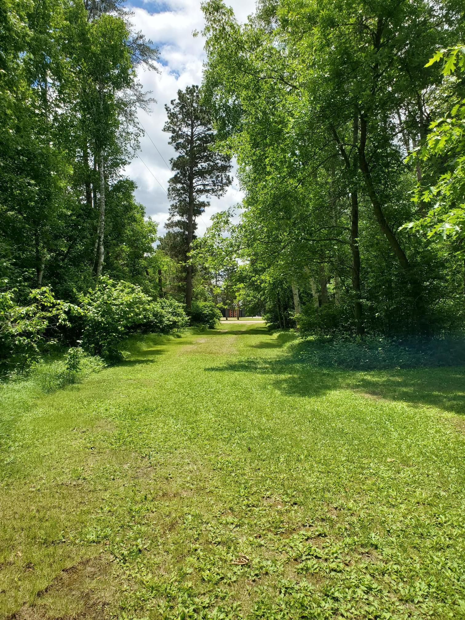 9308 Ossawinnamakee Road, Pequot Lakes MN 56472 - Photo 3 of 5
