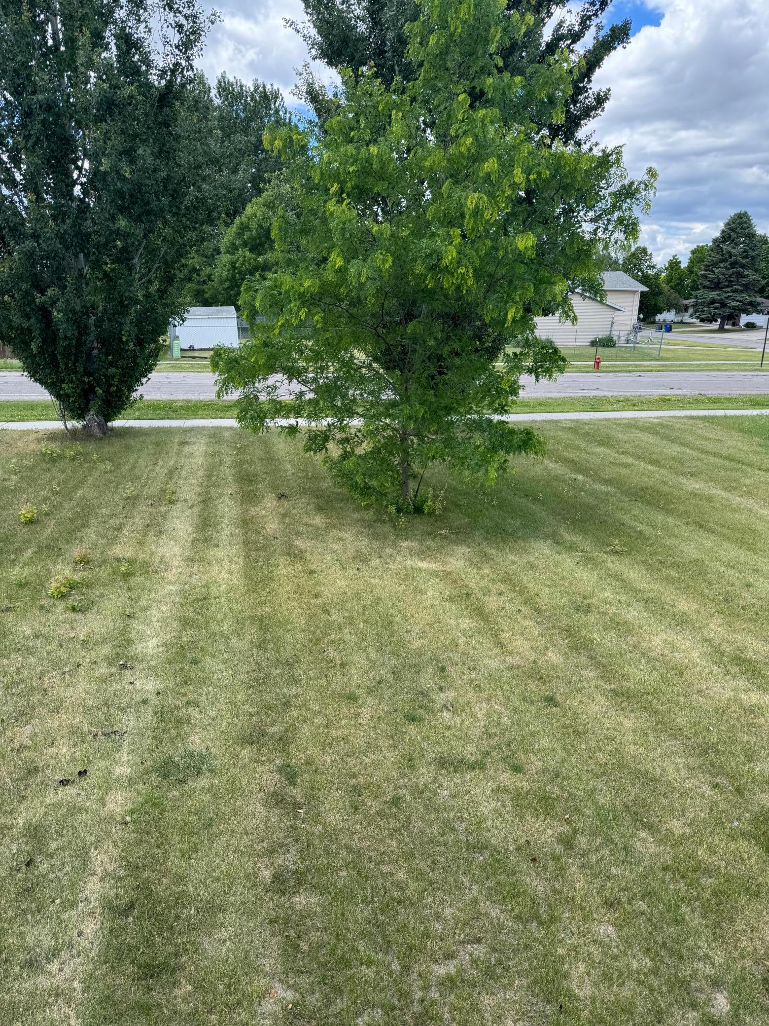 2013 townhouse for sale at 3539 15th Street S in Moorhead, MN — 3 bed, 3 bath (photo 24 of 27)