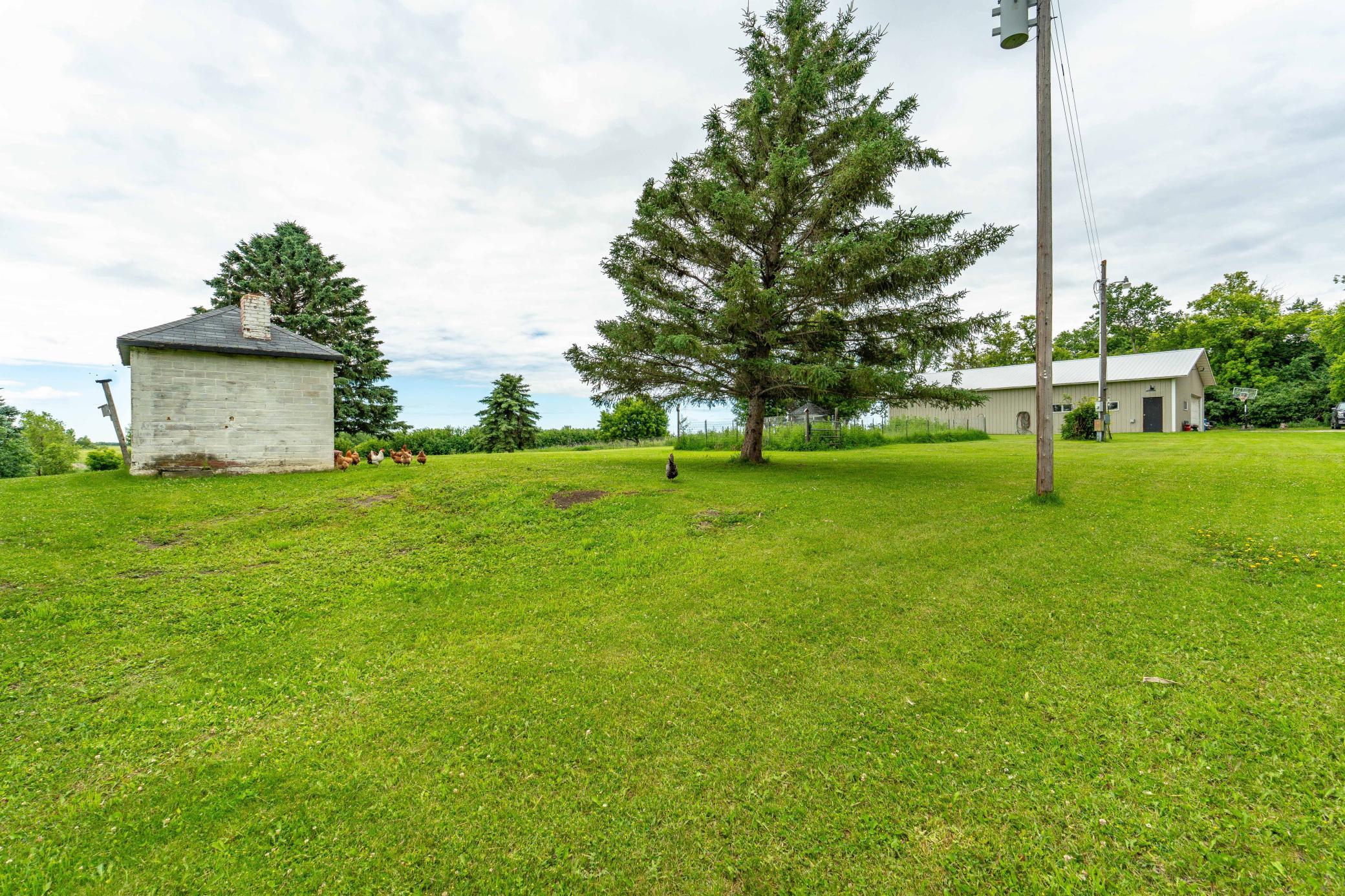 11729 County Highway 25, Fergus Falls MN 56537 - Photo 25 of 62
