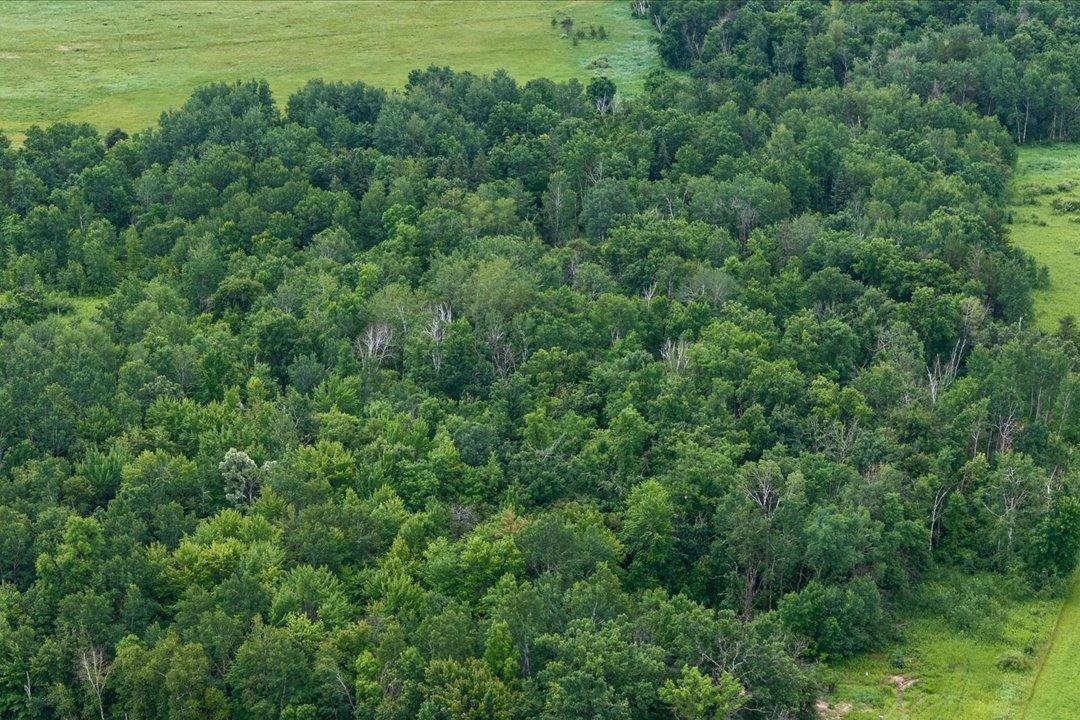 land for sale at 7625 96th Street SW in Motley, MN (photo 25 of 32)