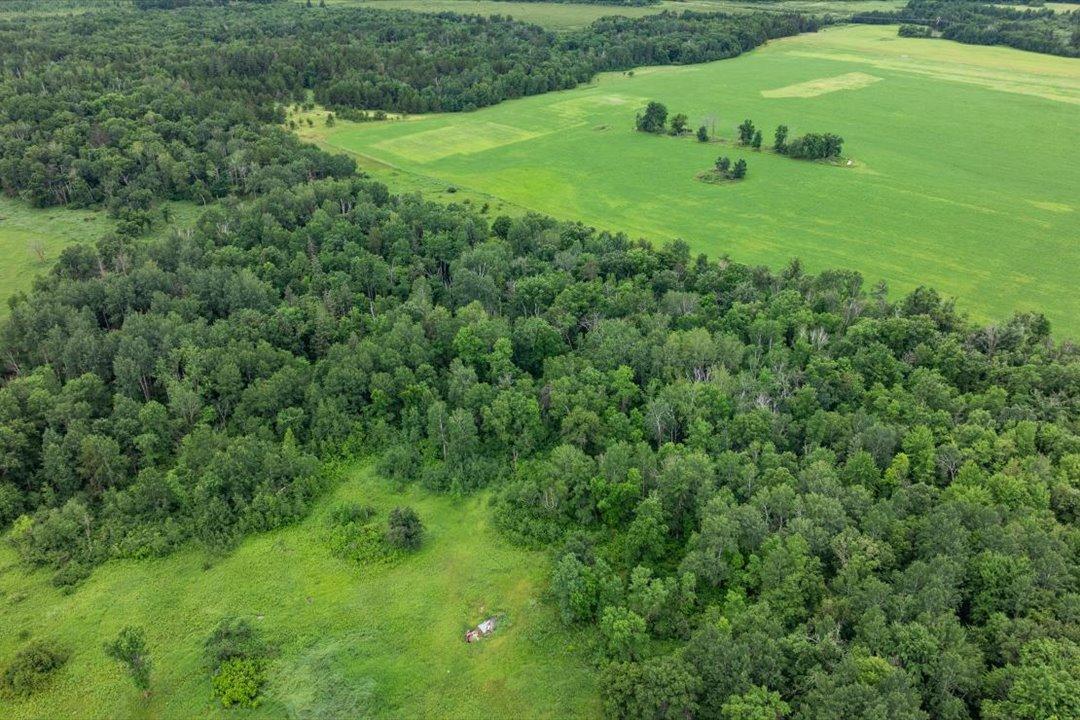 land for sale at 7625 96th Street SW in Motley, MN (photo 27 of 32)