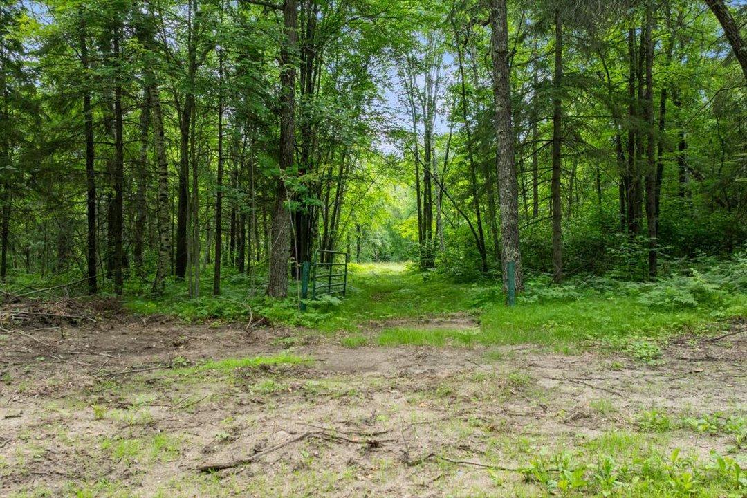 TBD Pierson Drive, Pequot Lakes MN 56472 - Photo 4 of 15