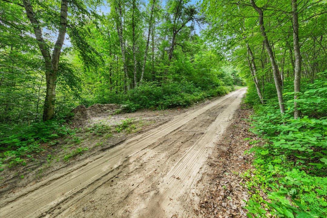 TBD Pierson Drive, Pequot Lakes MN 56472 - Photo 5 of 15