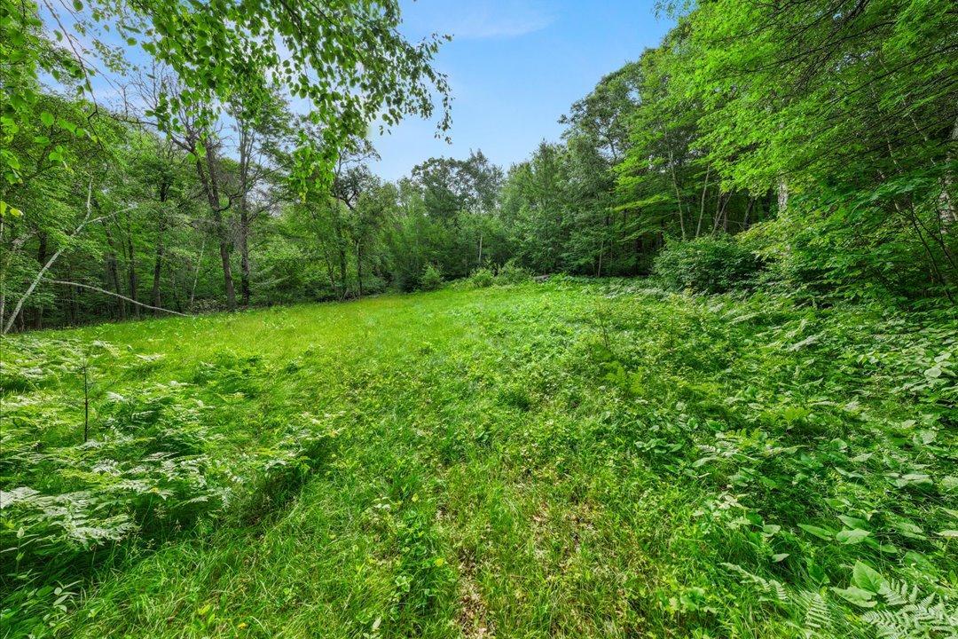 TBD Pierson Drive, Pequot Lakes MN 56472 - Photo 6 of 15