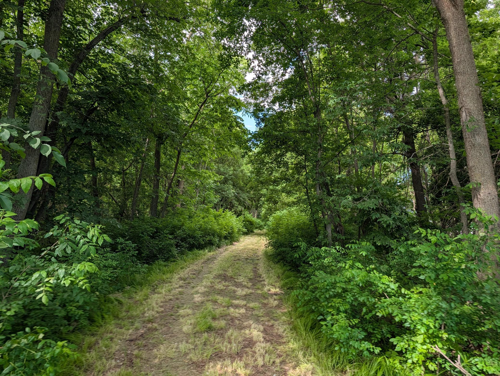 TBD 477th Avenue, New York Mills MN 56567 - Photo 6 of 12