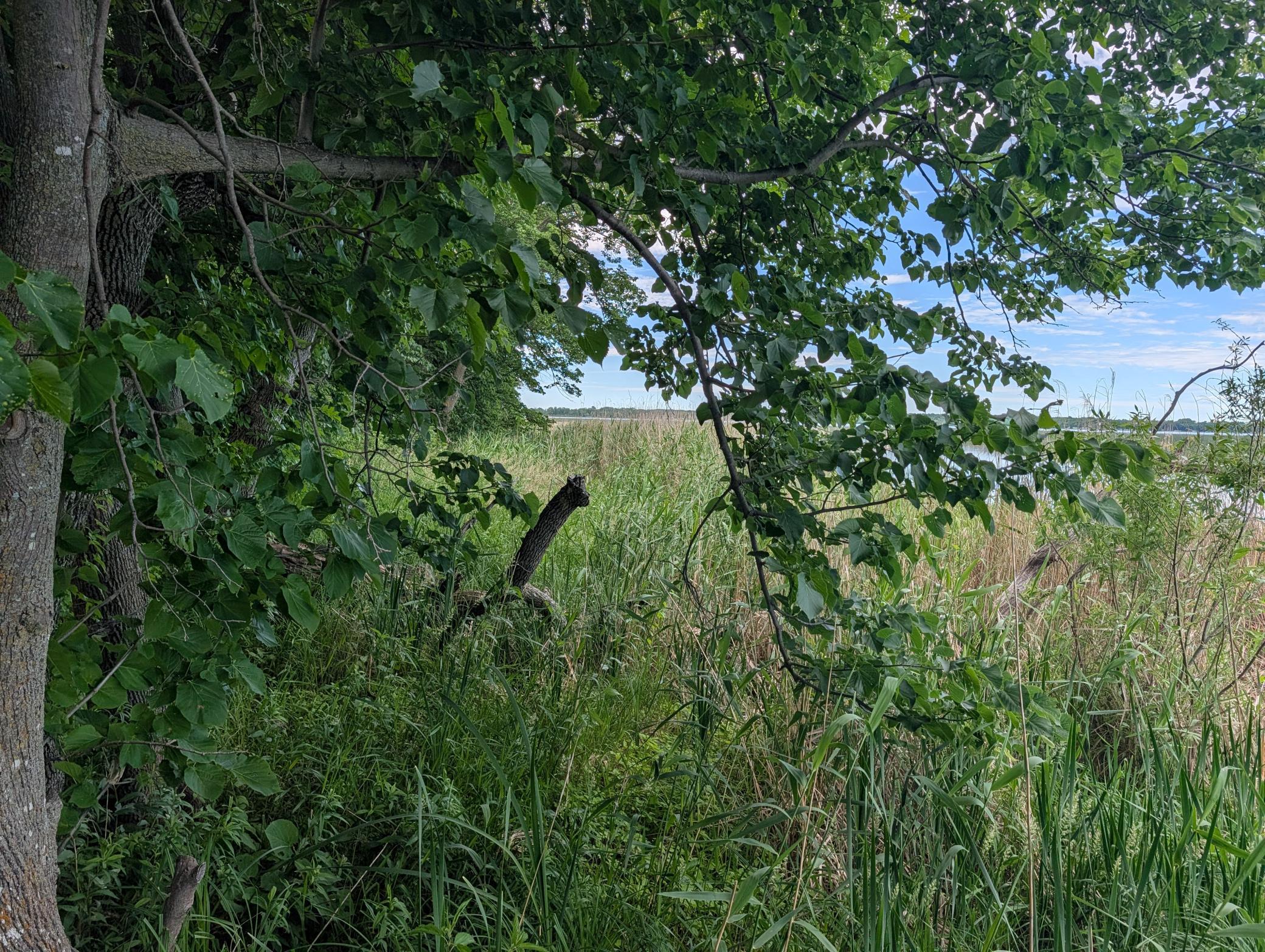 TBD 477th Avenue, New York Mills MN 56567 - Photo 8 of 12
