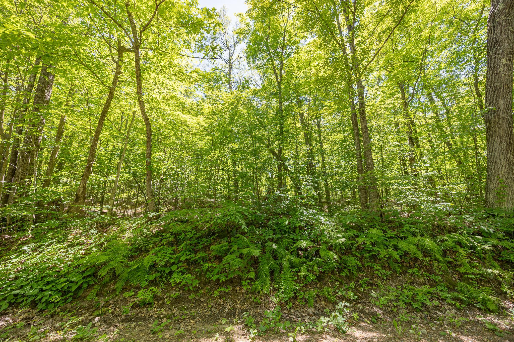 TBD Island View Drive NE, Longville MN 56655 - Photo 4 of 9
