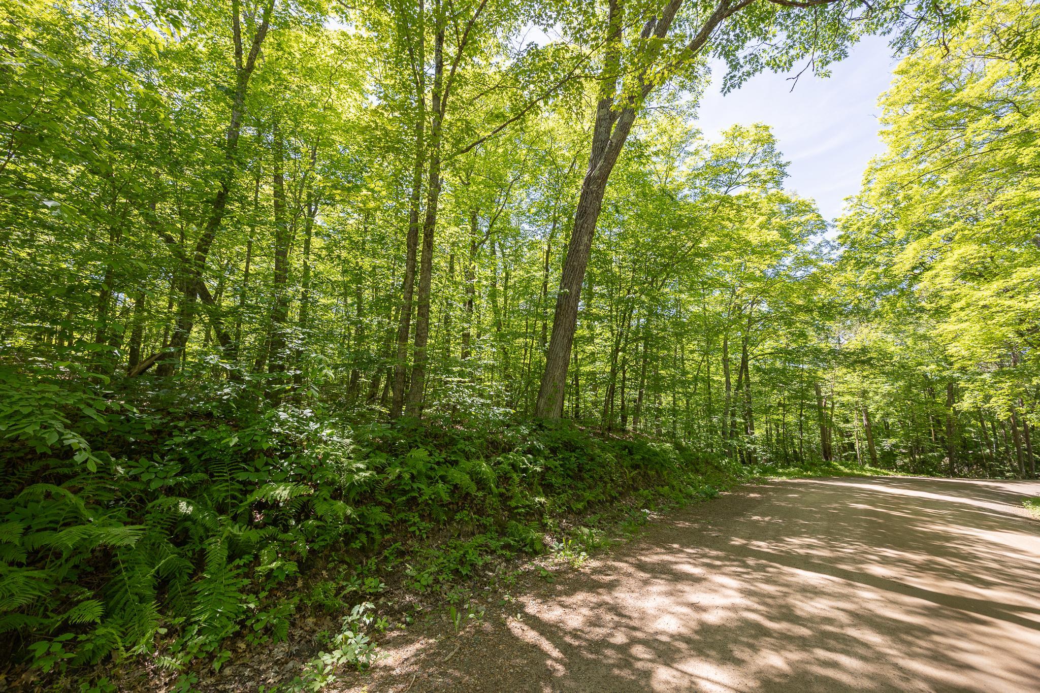 TBD Island View Drive NE, Longville MN 56655 - Photo 5 of 9