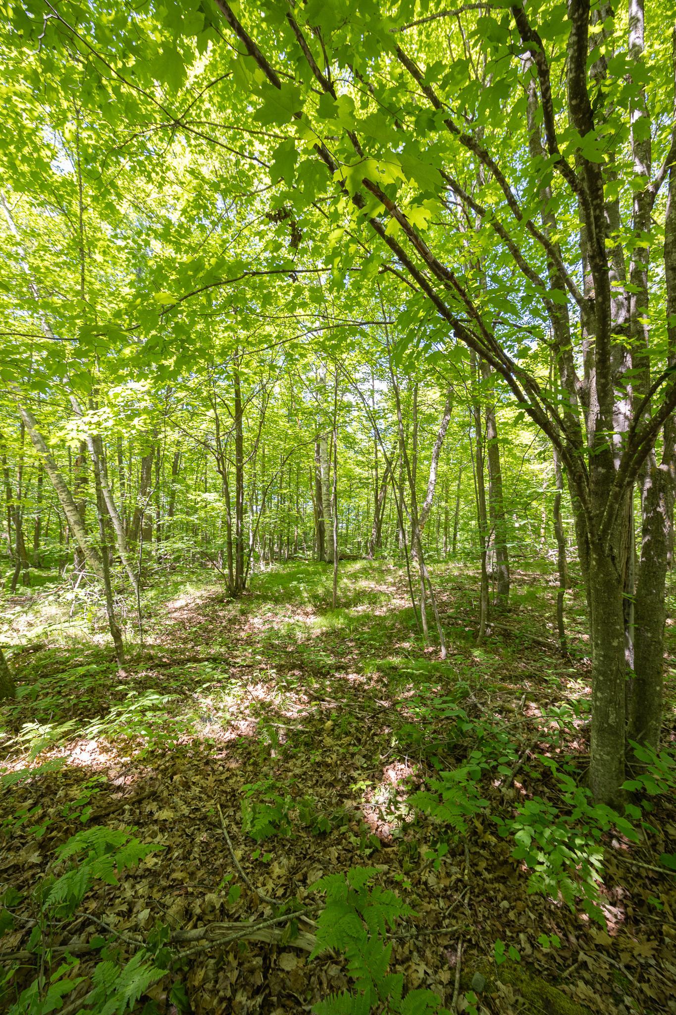 TBD Island View Drive NE, Longville MN 56655 - Photo 8 of 9