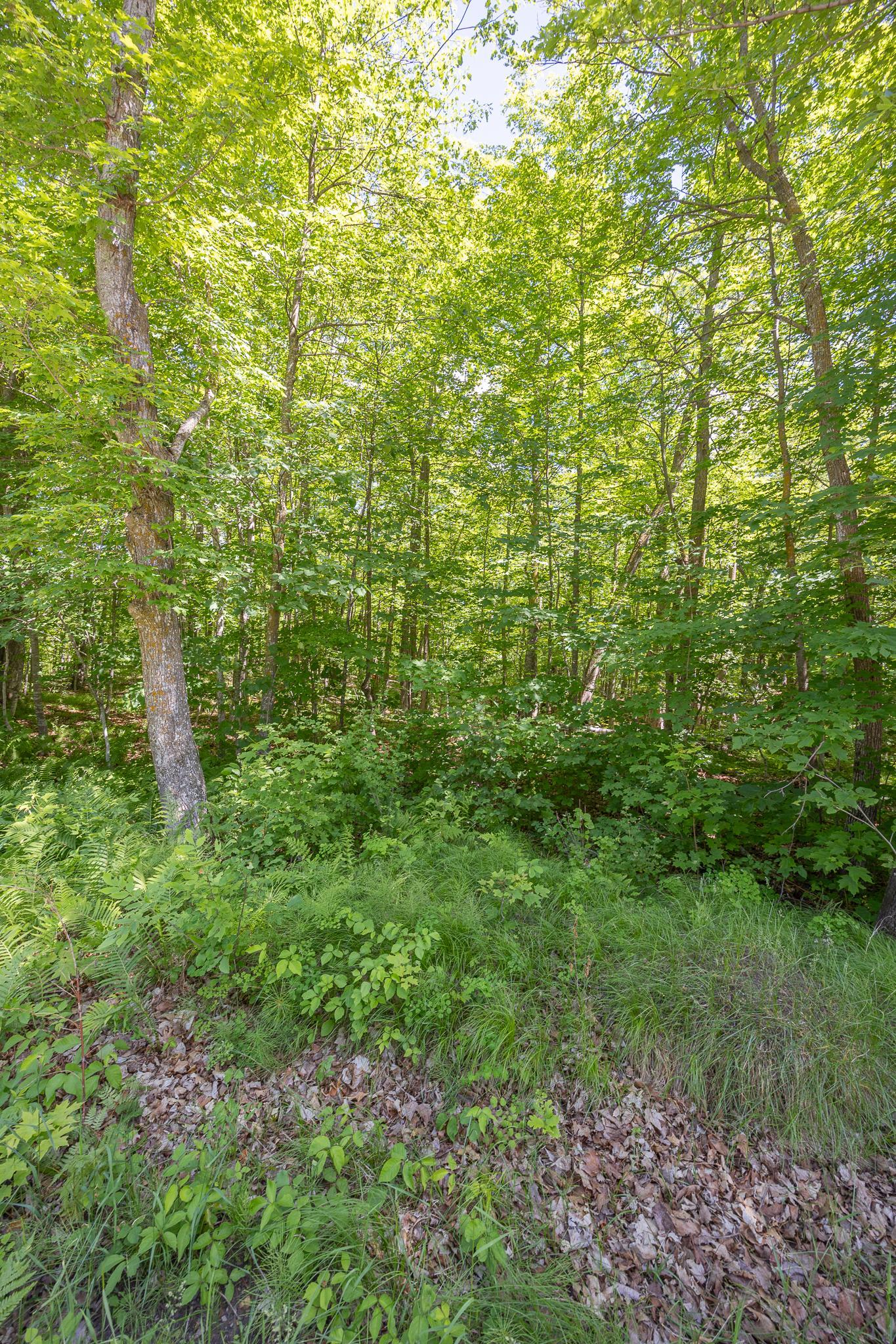 TBD Island View Drive NE, Longville MN 56655 - Photo 9 of 9