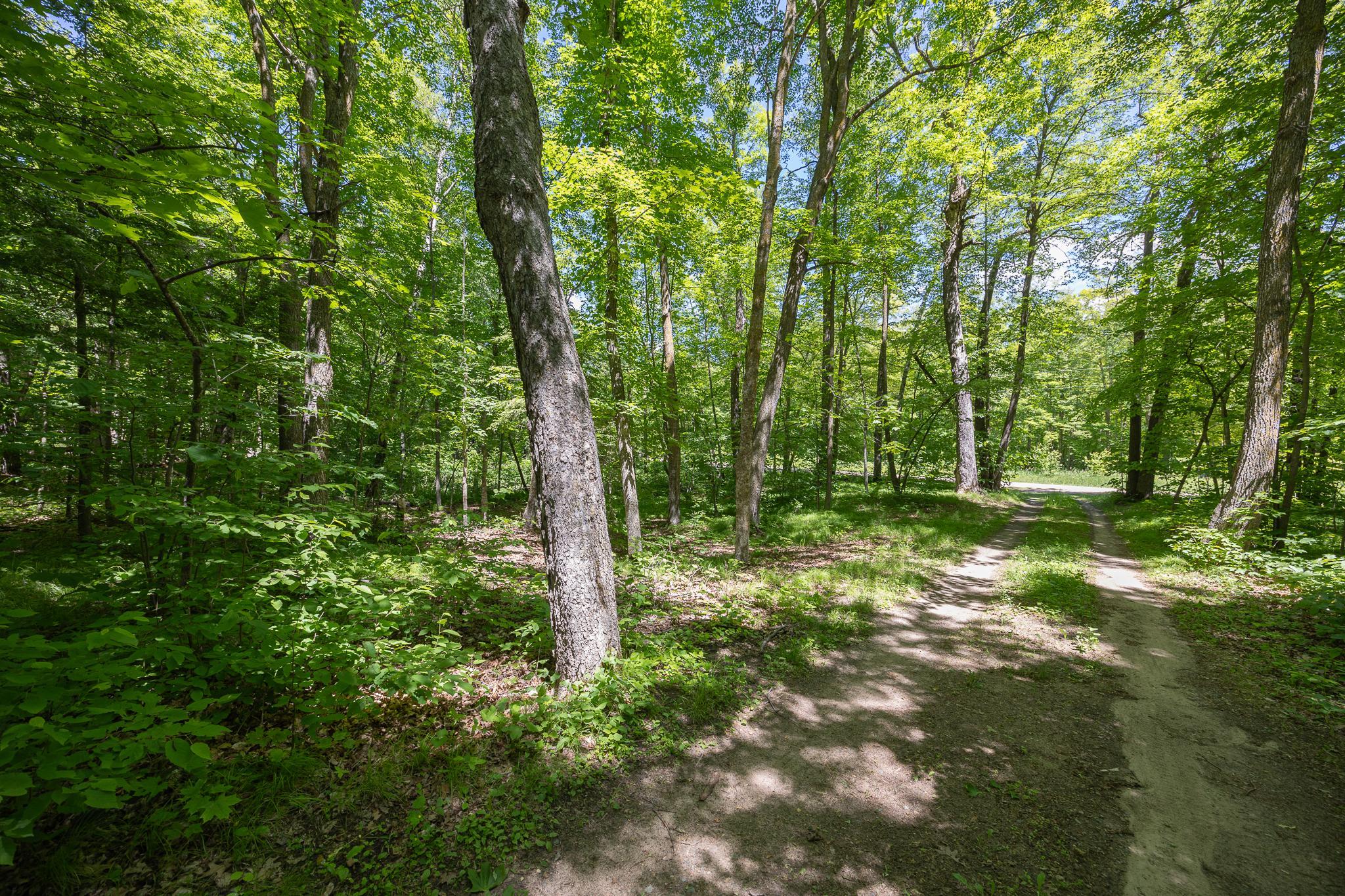 3025 3rd Avenue NW, Longville MN 56655 - Photo 41 of 44