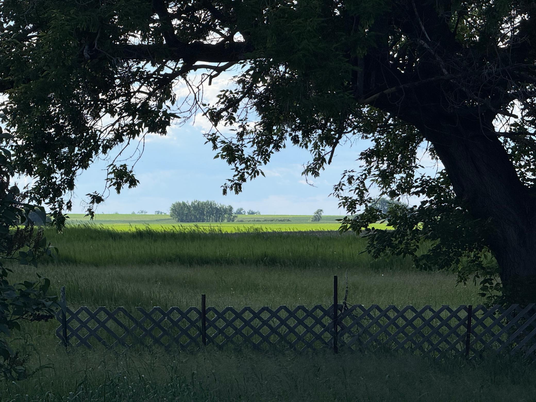 1950 land for sale at 305 Roberts Street in Webster, ND (photo 3 of 9)