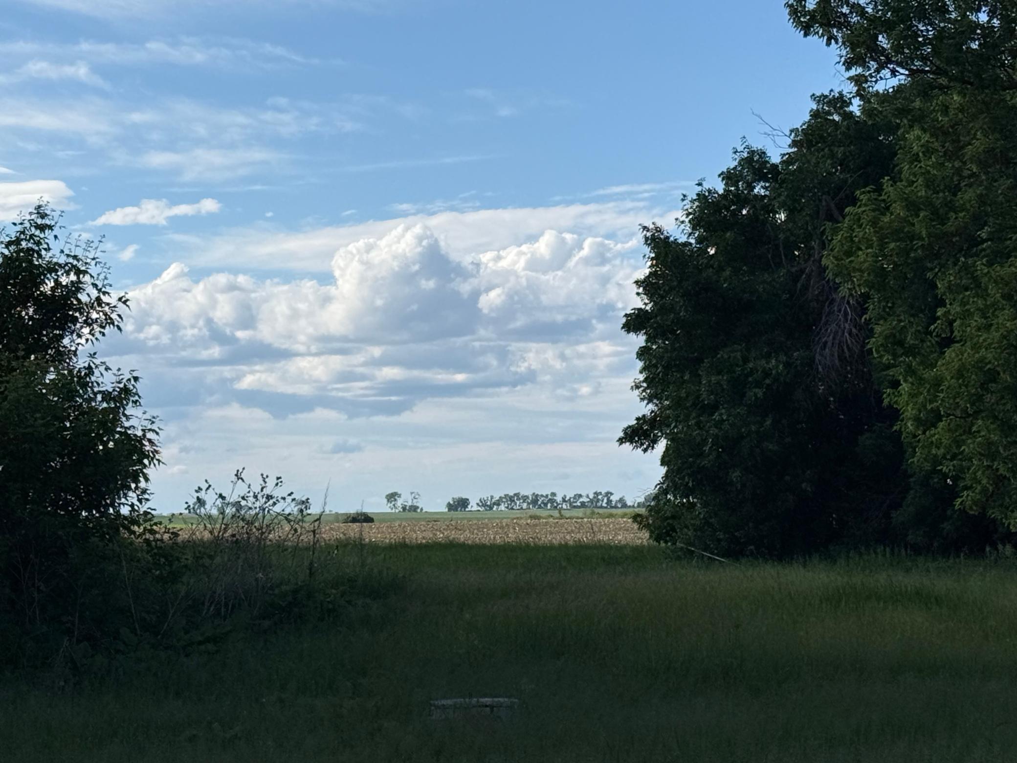 1950 land for sale at 305 Roberts Street in Webster, ND (photo 4 of 9)
