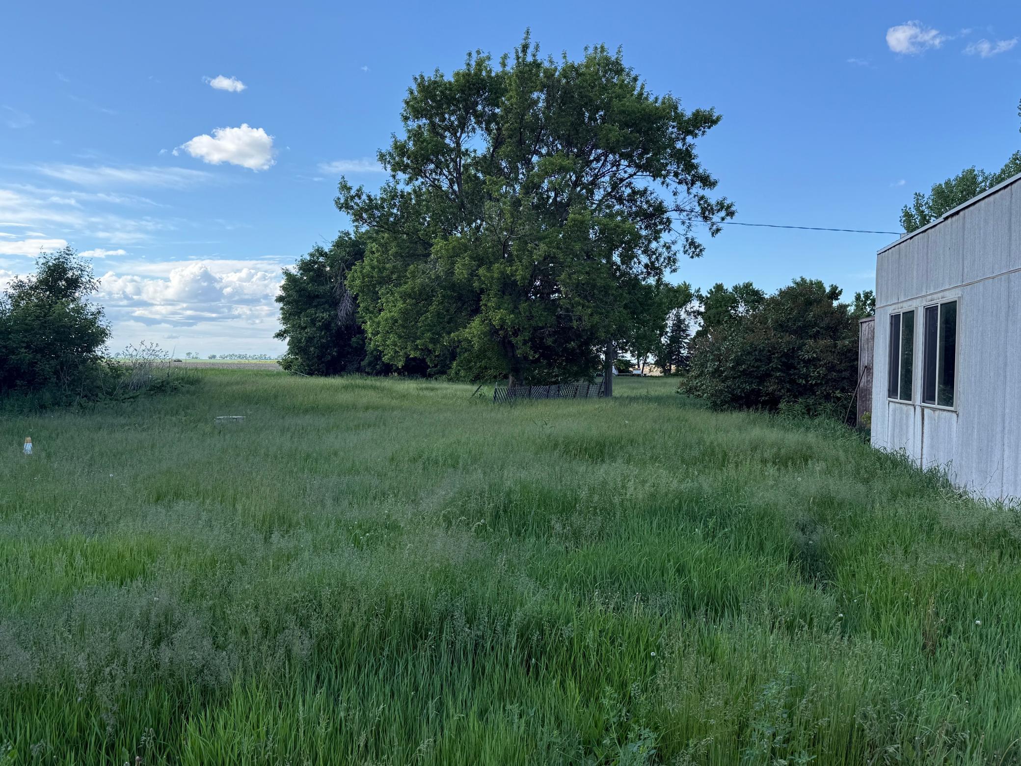1950 land for sale at 305 Roberts Street in Webster, ND (photo 5 of 9)