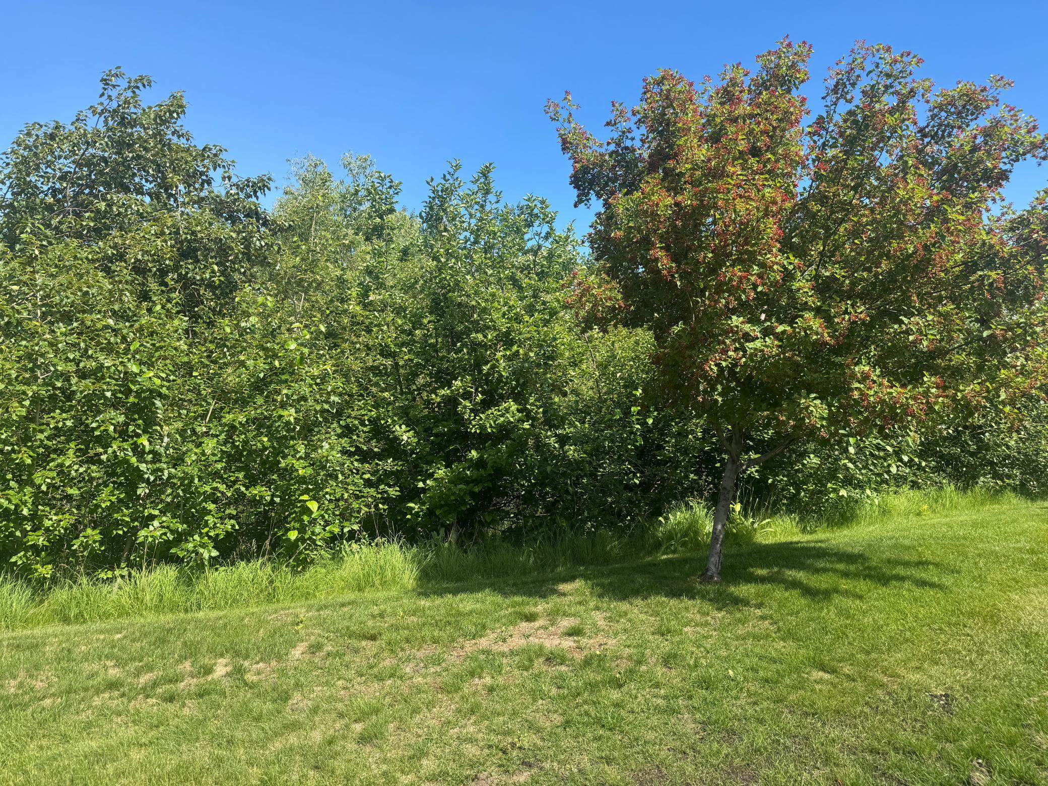 2014 home for sale at 1300 Event Center Drive NE, Unit 5 in Bemidji, MN — 2 bed, 2 bath (photo 31 of 37)
