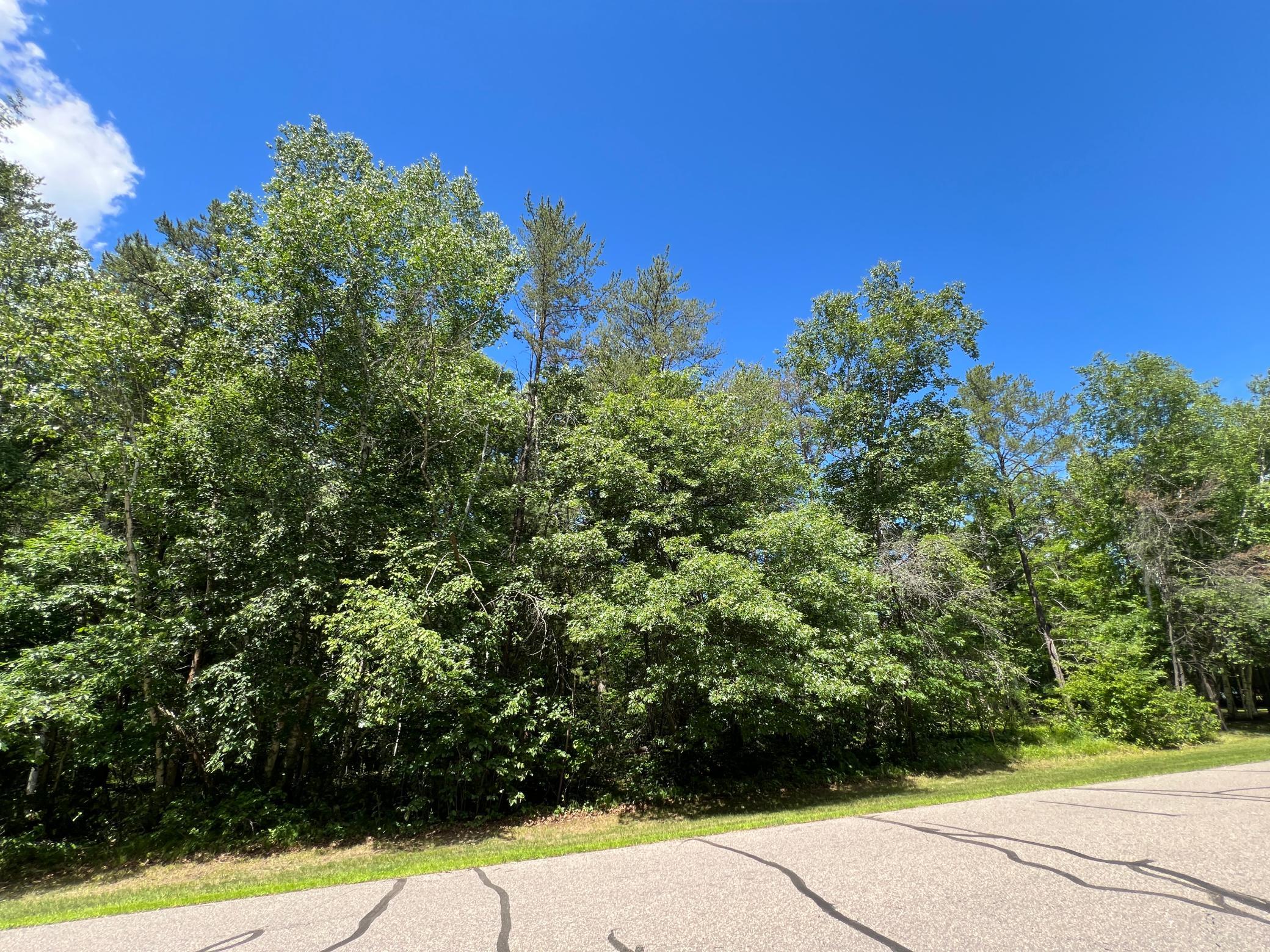 Lot 2 Birch Lane, Brainerd MN 56401 - Photo 2 of 9