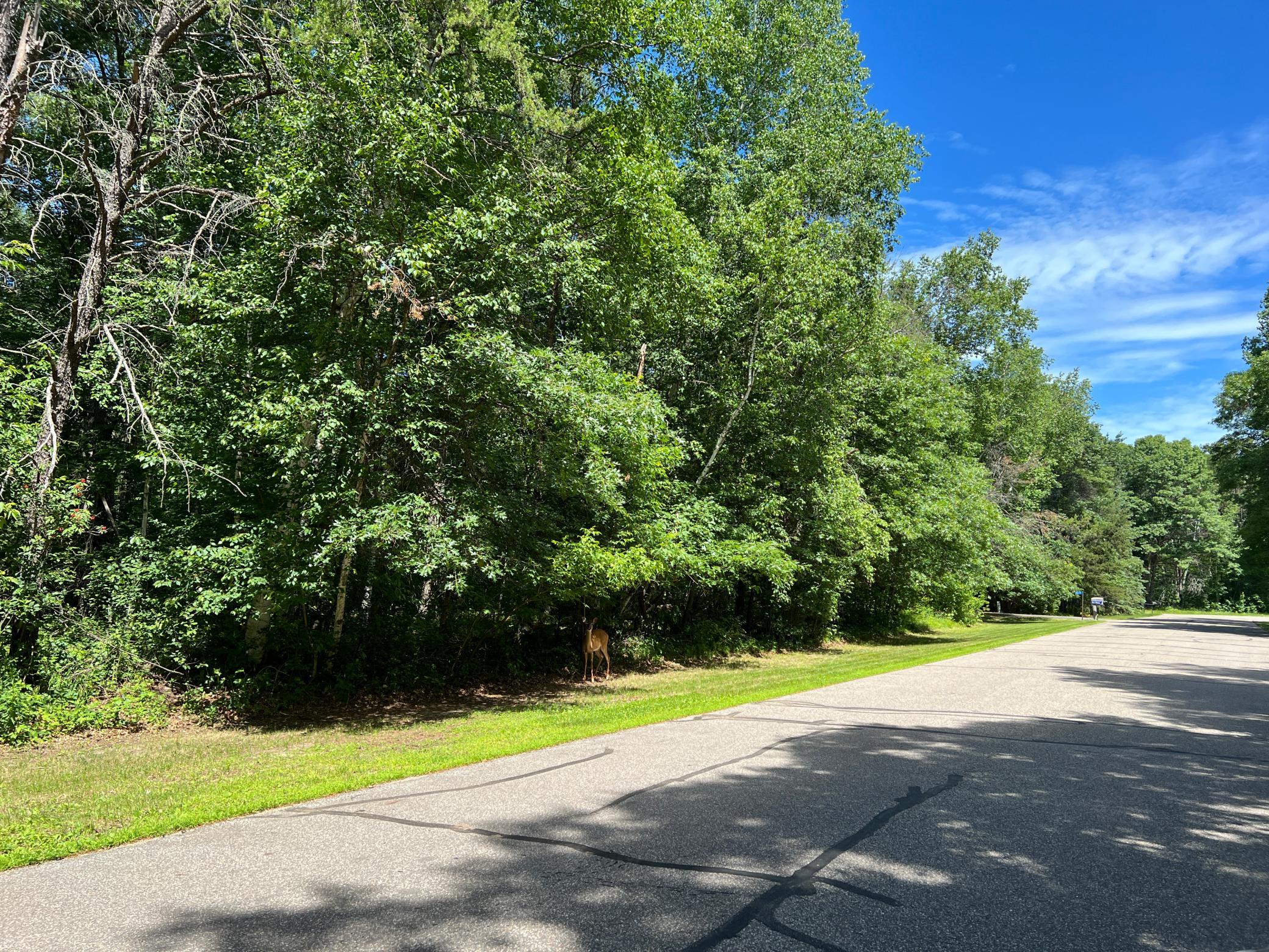 Lot 2 Birch Lane, Brainerd MN 56401 - Photo 8 of 9