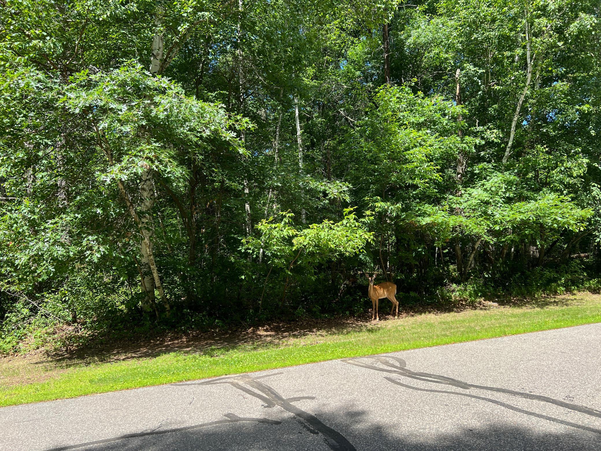 Lot 2 Birch Lane, Brainerd MN 56401 - Photo 9 of 9