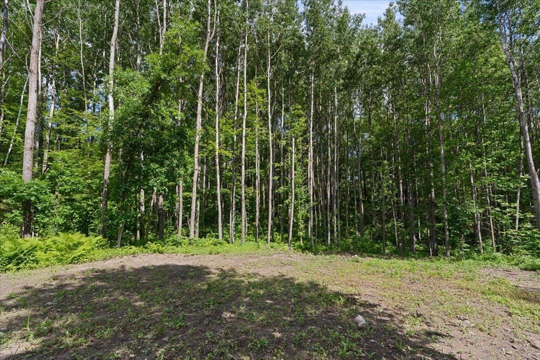 121 Ridgeway Path, Walker MN 56484 - Photo 30 of 35