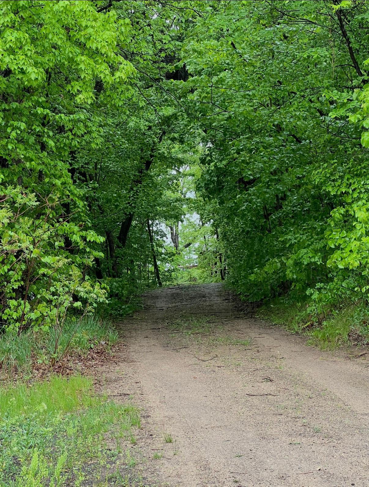 35743 Fawn Oaks Trail, Dent MN 56528 - Photo 47 of 50