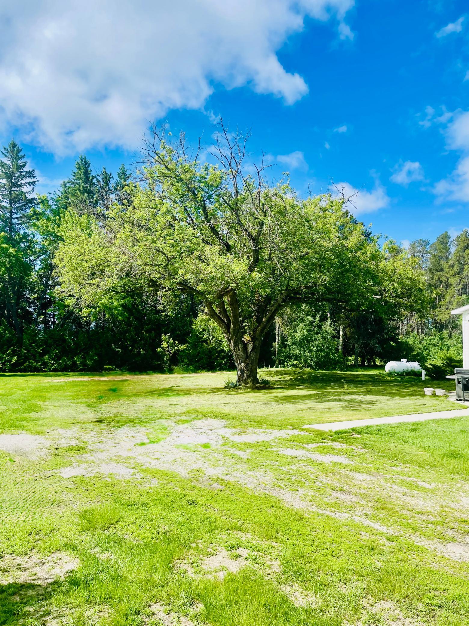 26924 600th Avenue, Warroad MN 56763 - Photo 7 of 42