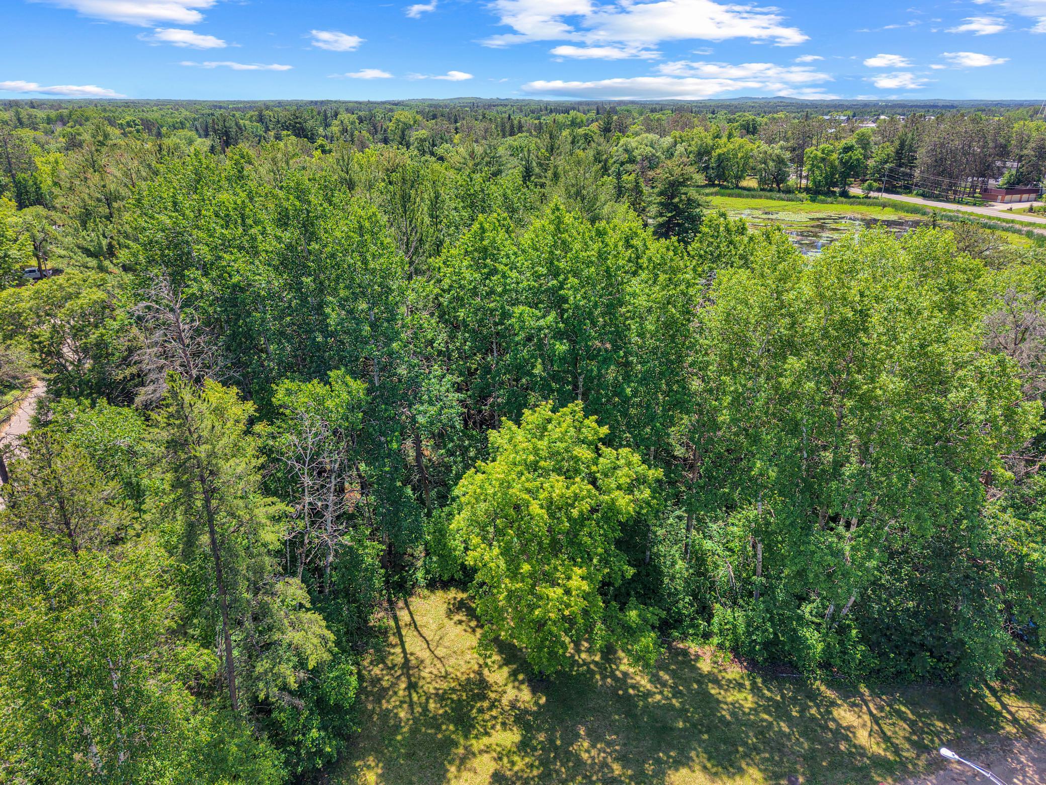 709 Hall Place, Pine River MN 56474 - Photo 13 of 20
