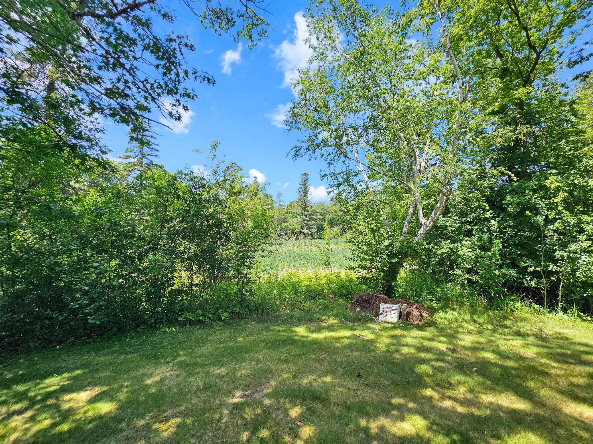 709 Hall Place, Pine River MN 56474 - Photo 18 of 20