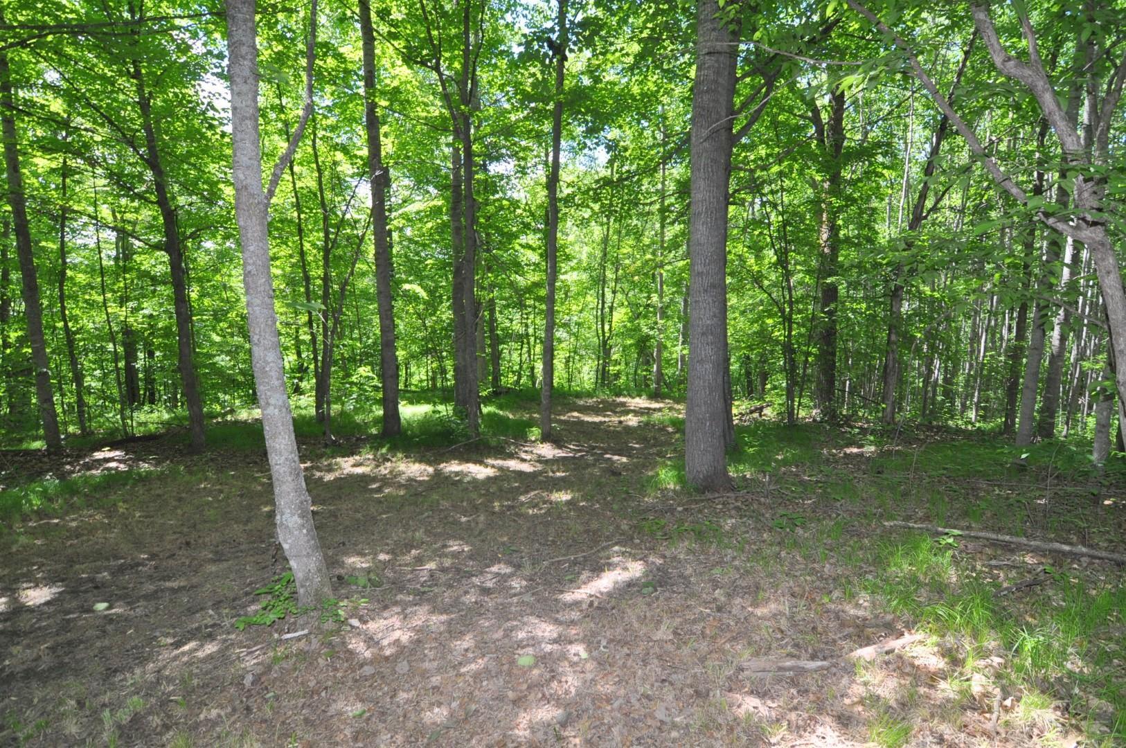 Lot 2 Evening Vista NW Trail, Shingobee Twp MN 56433 - Photo 11 of 17