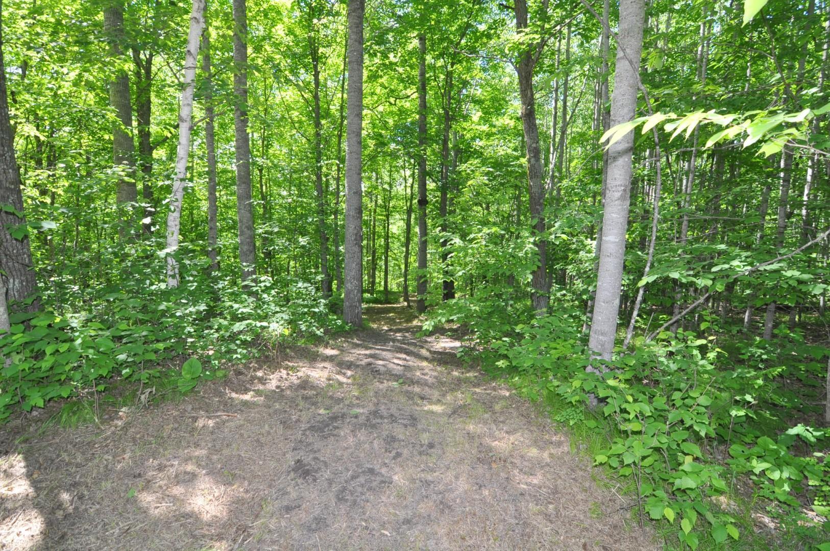 Lot 2 Evening Vista NW Trail, Shingobee Twp MN 56433 - Photo 12 of 17