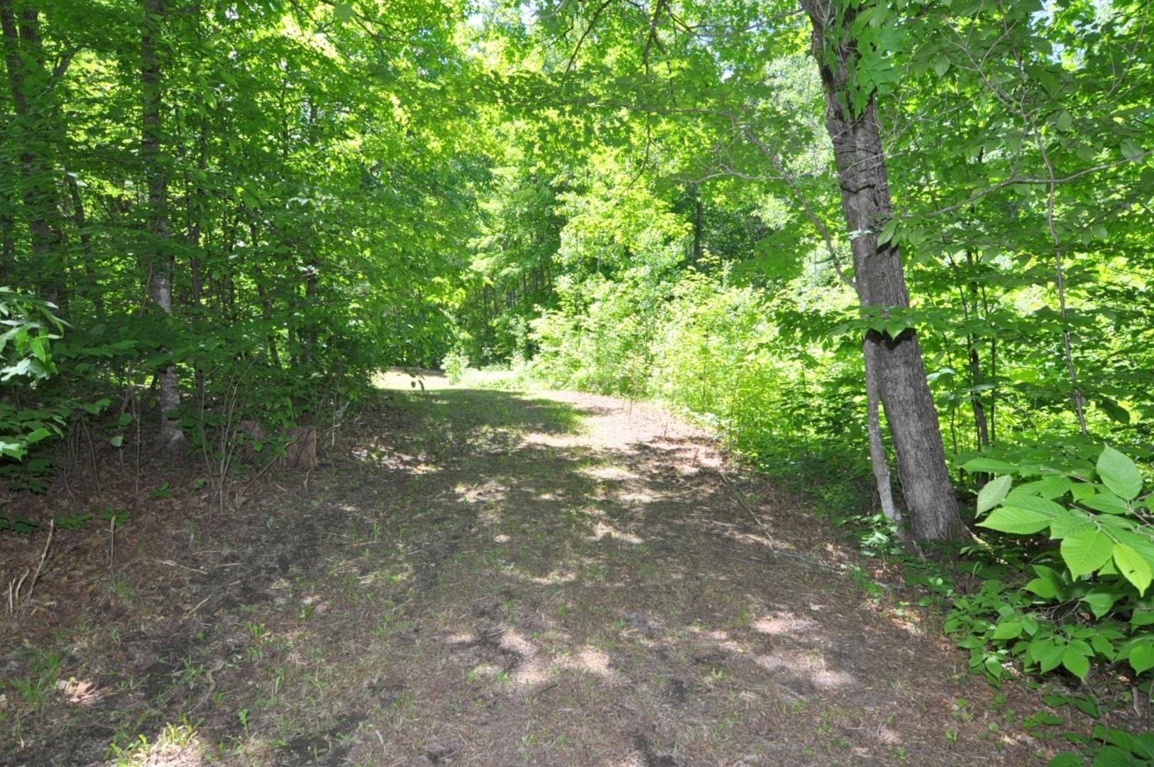 Lot 2 Evening Vista NW Trail, Shingobee Twp MN 56433 - Photo 13 of 17