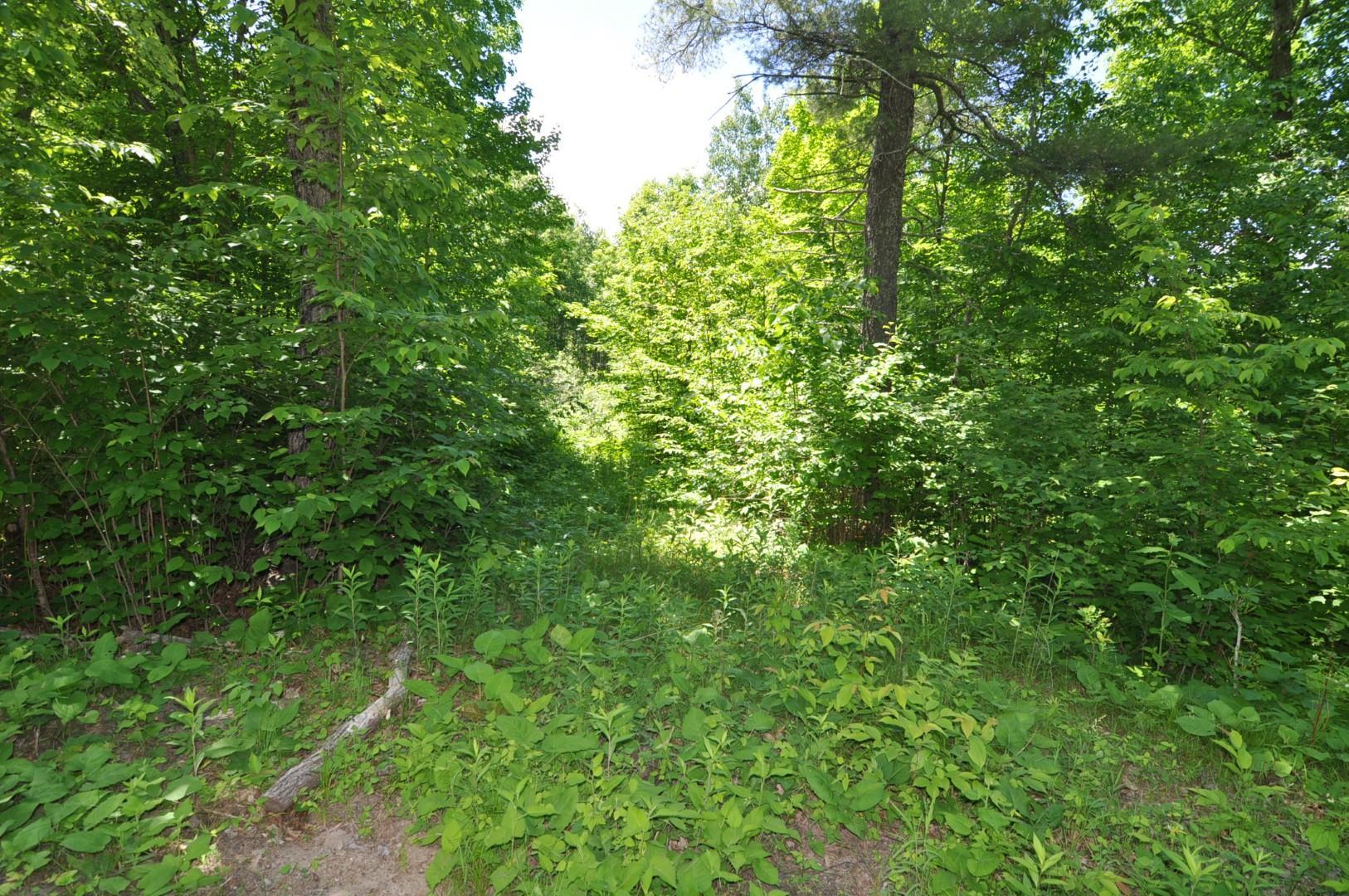 Lot 2 Evening Vista NW Trail, Shingobee Twp MN 56433 - Photo 14 of 17