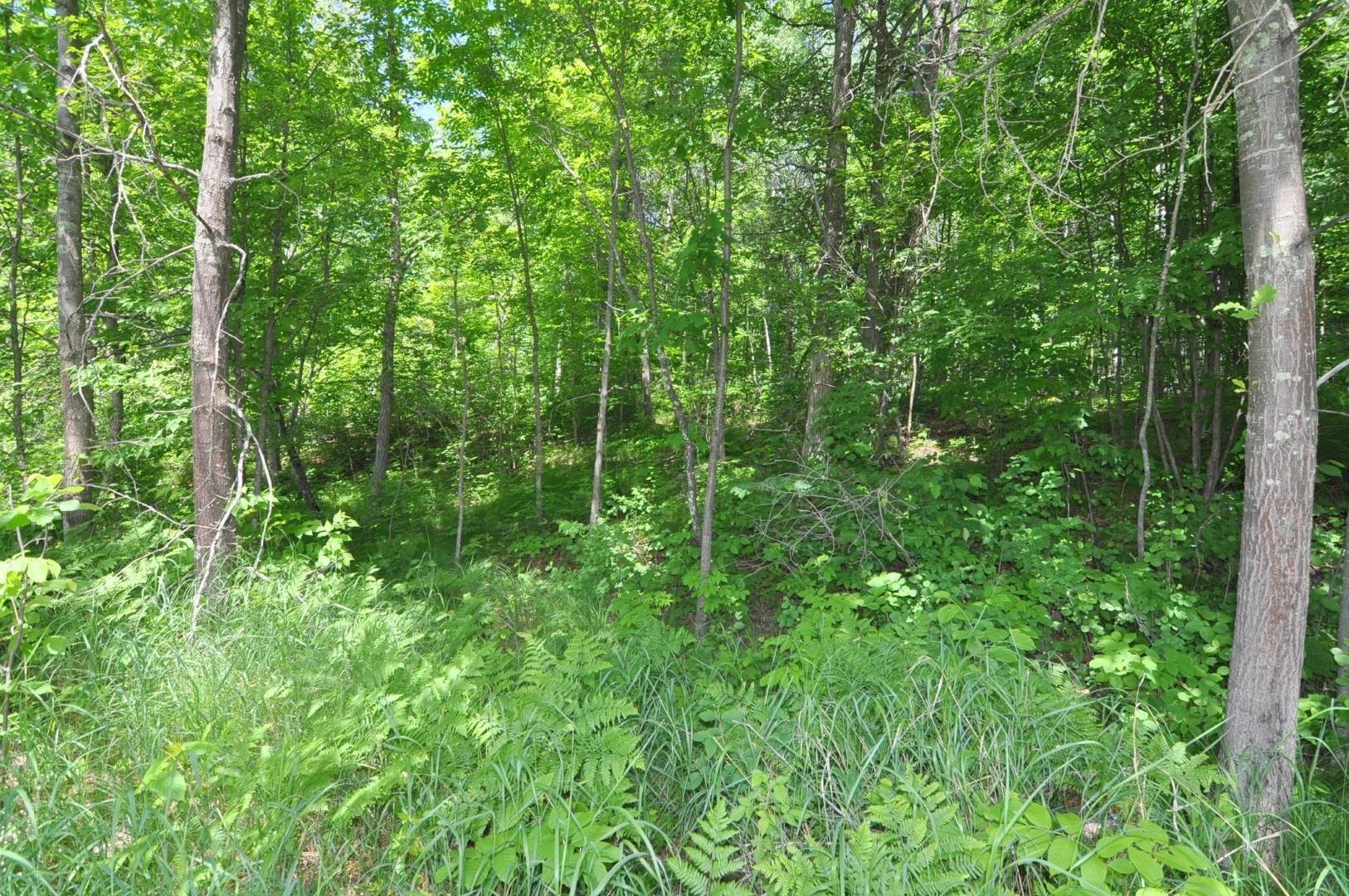 Lot 2 Evening Vista NW Trail, Shingobee Twp MN 56433 - Photo 15 of 17