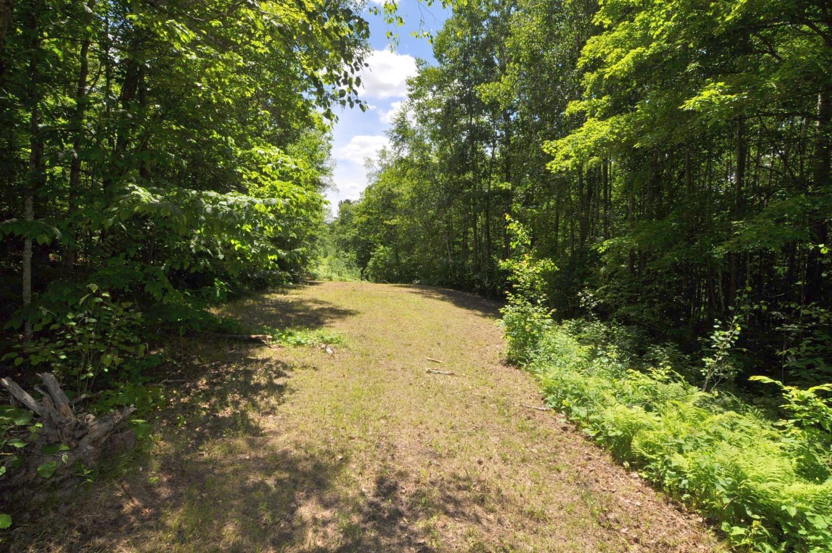 Lot 2 Evening Vista NW Trail, Shingobee Twp MN 56433 - Photo 4 of 17
