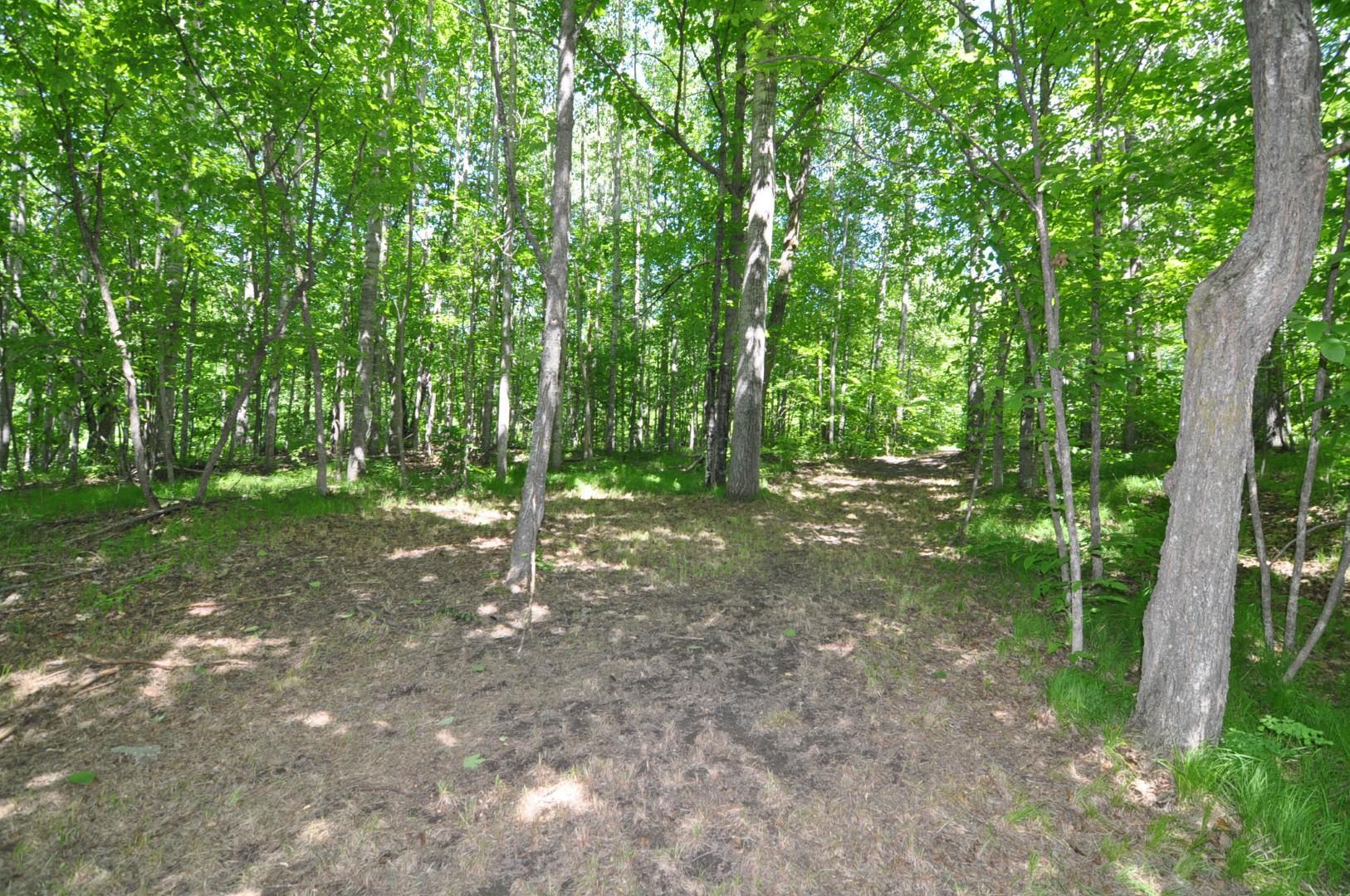Lot 2 Evening Vista NW Trail, Shingobee Twp MN 56433 - Photo 6 of 17