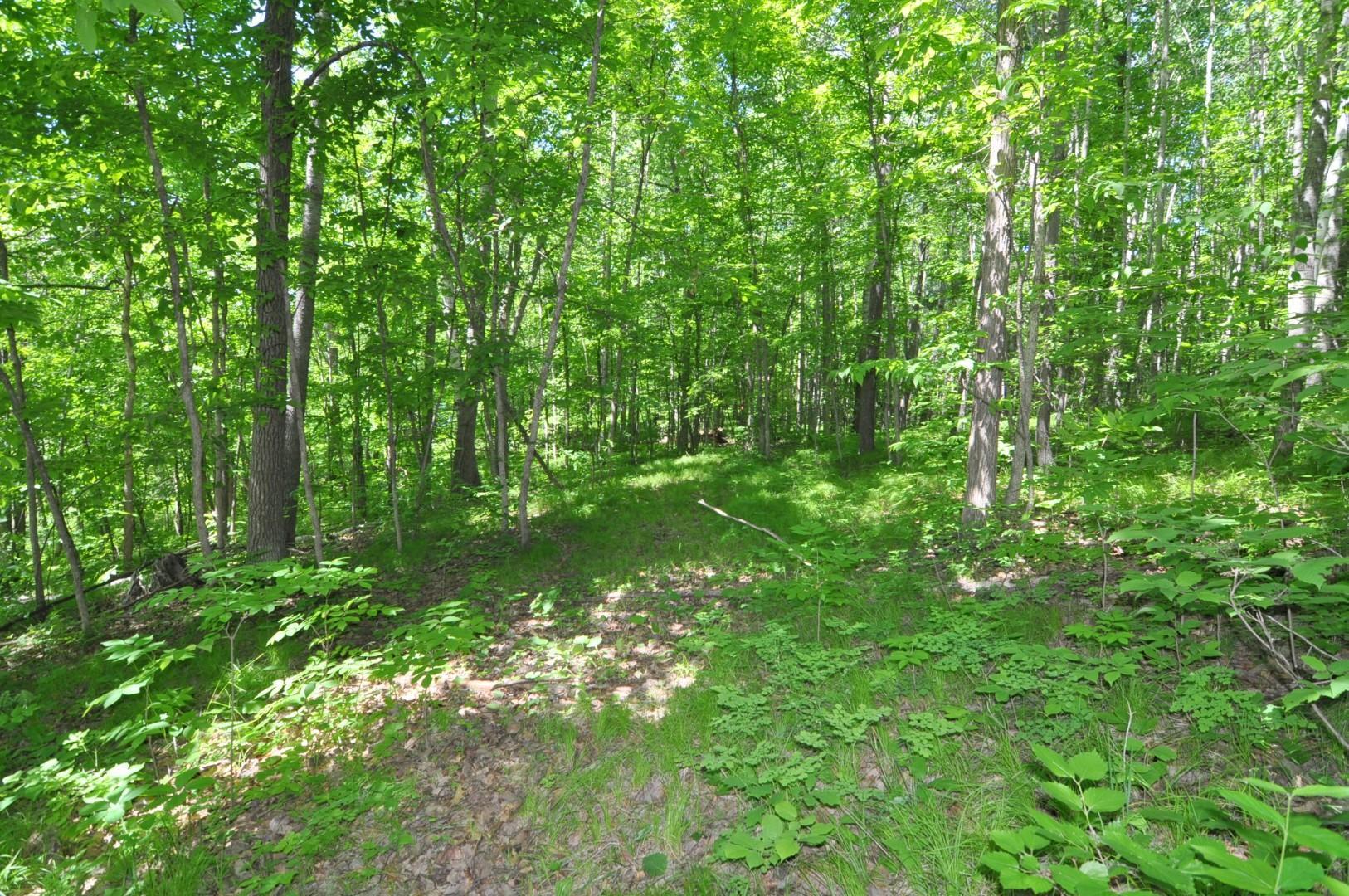 Lot 2 Evening Vista NW Trail, Shingobee Twp MN 56433 - Photo 7 of 17