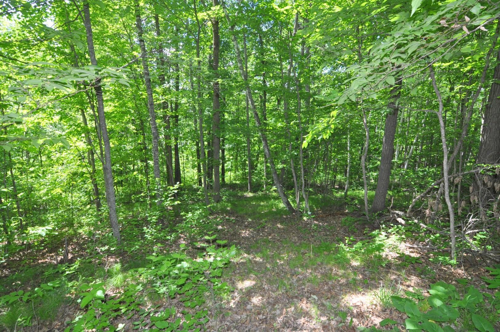 Lot 2 Evening Vista NW Trail, Shingobee Twp MN 56433 - Photo 9 of 17