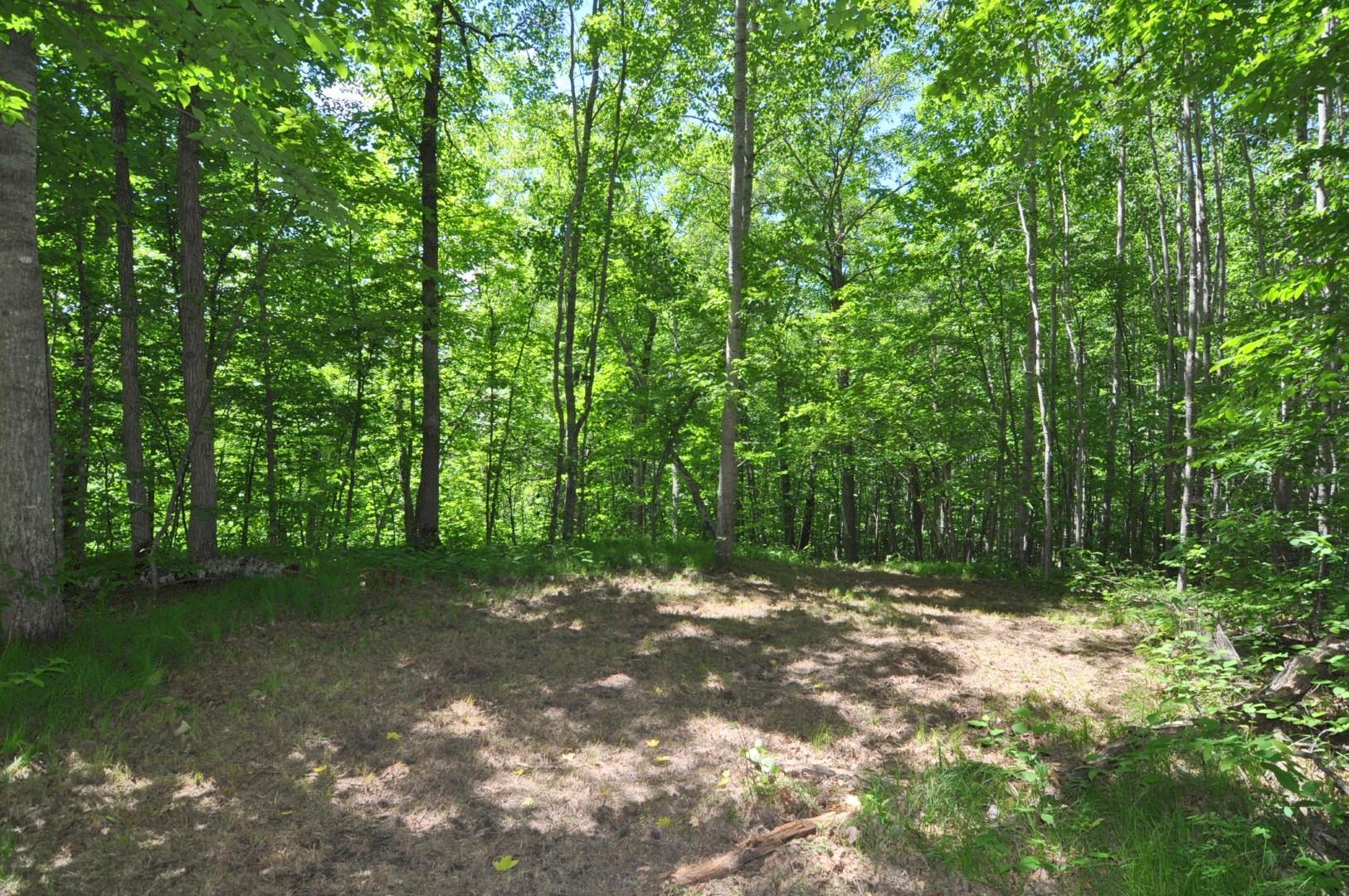 Lot 2 Evening Vista NW Trail, Shingobee Twp MN 56433 - Photo 10 of 17