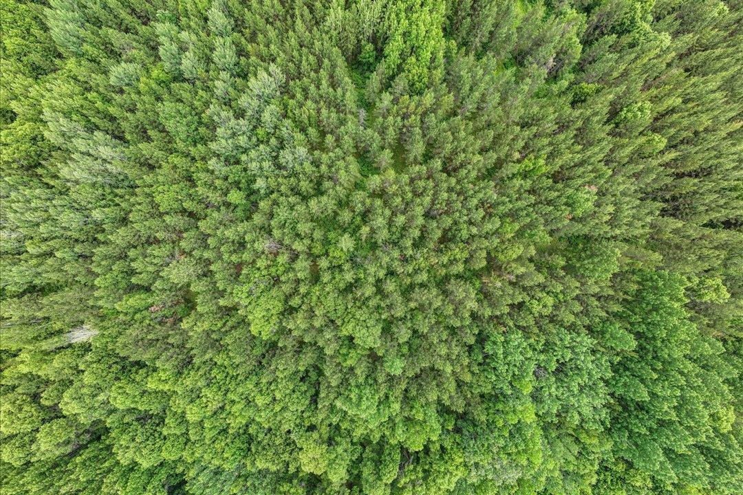 land for sale at TBD Hwy 210 W. in Baxter, MN (photo 20 of 28)