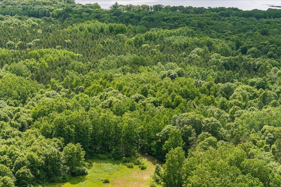 land for sale at TBD Hwy 210 W. in Baxter, MN (photo 7 of 28)