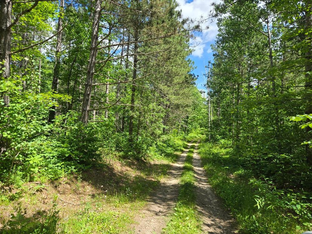 TBD FS2564D, Remer MN 56672 - Photo 2 of 13