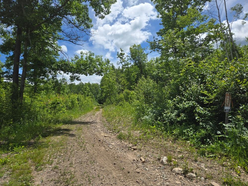 TBD FS2564D, Remer MN 56672 - Photo 6 of 13