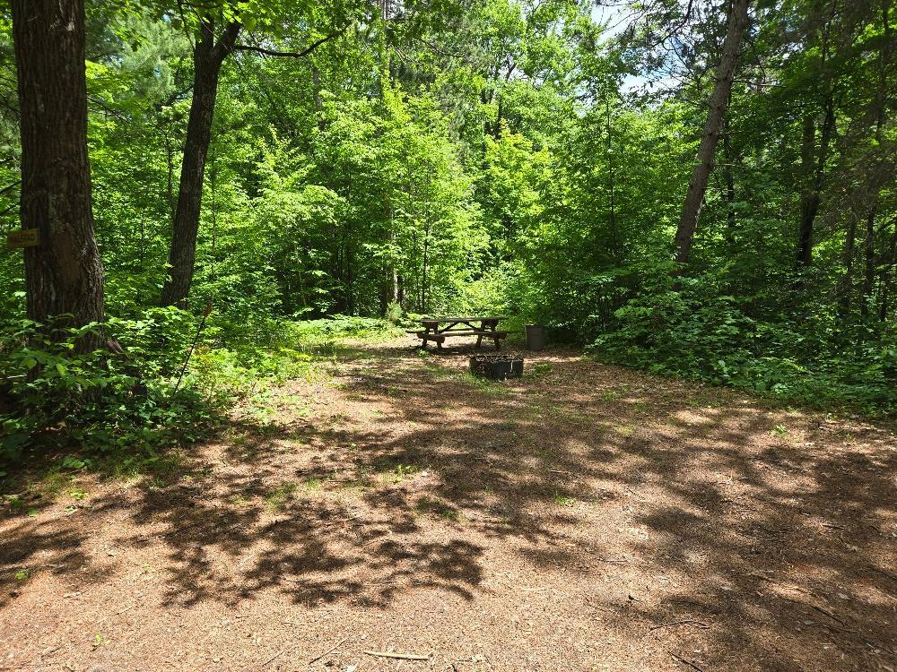 TBD FS2564D, Remer MN 56672 - Photo 7 of 13