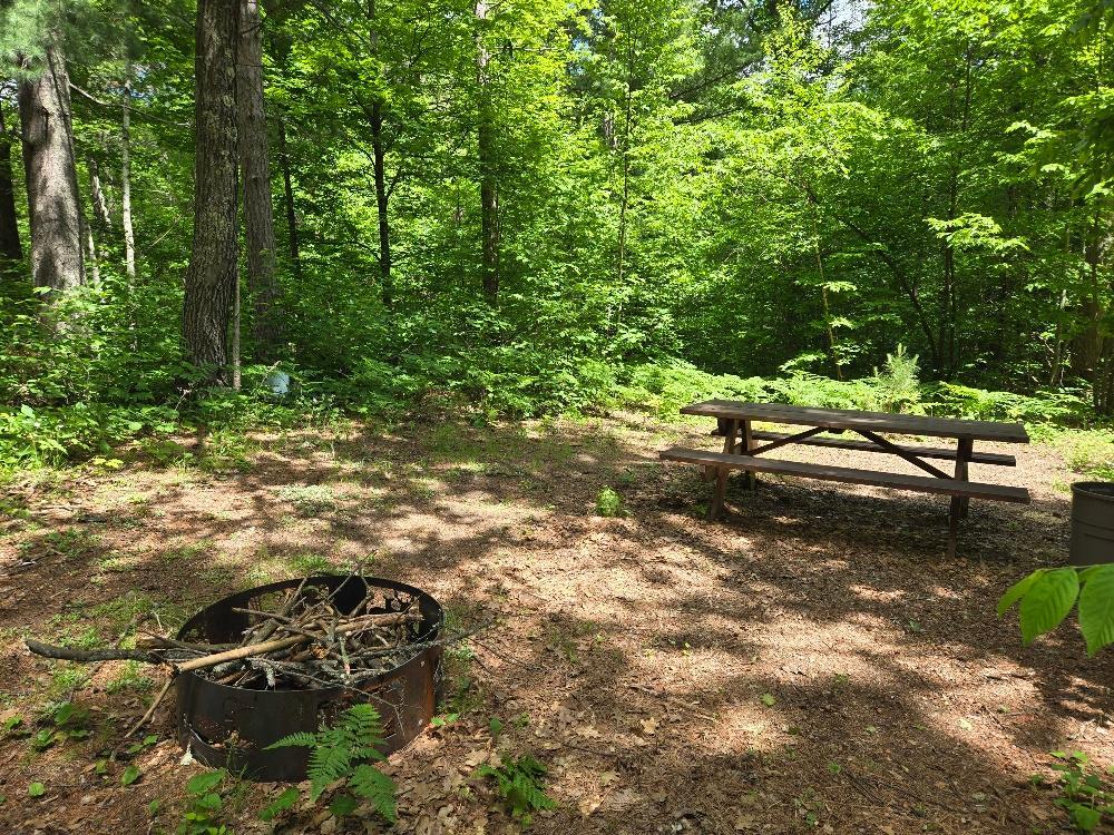 TBD FS2564D, Remer MN 56672 - Photo 8 of 13