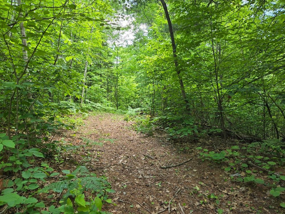 TBD FS2564D, Remer MN 56672 - Photo 10 of 13