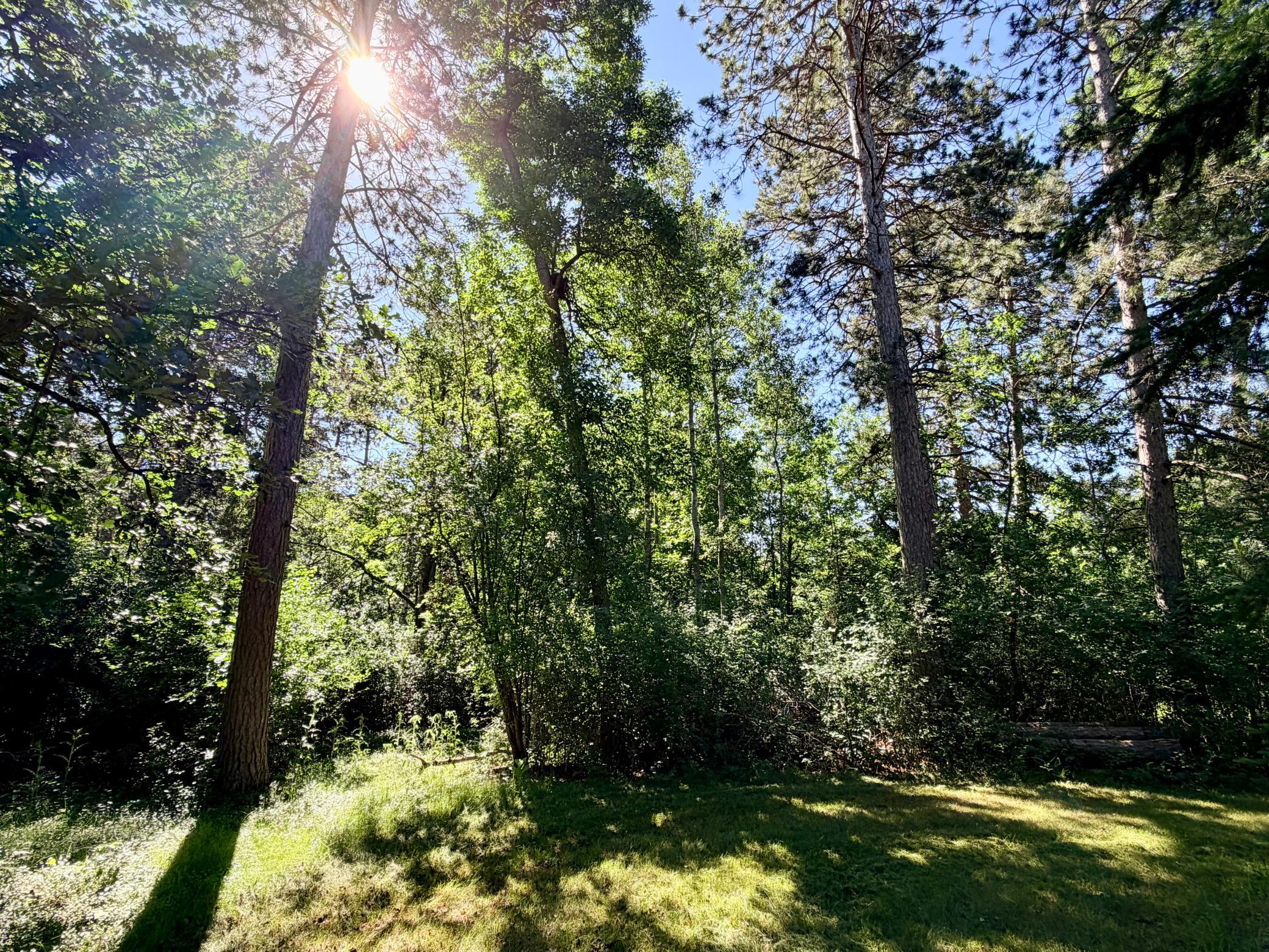 506 Central Avenue S, Park Rapids MN 56470 - Photo 13 of 37