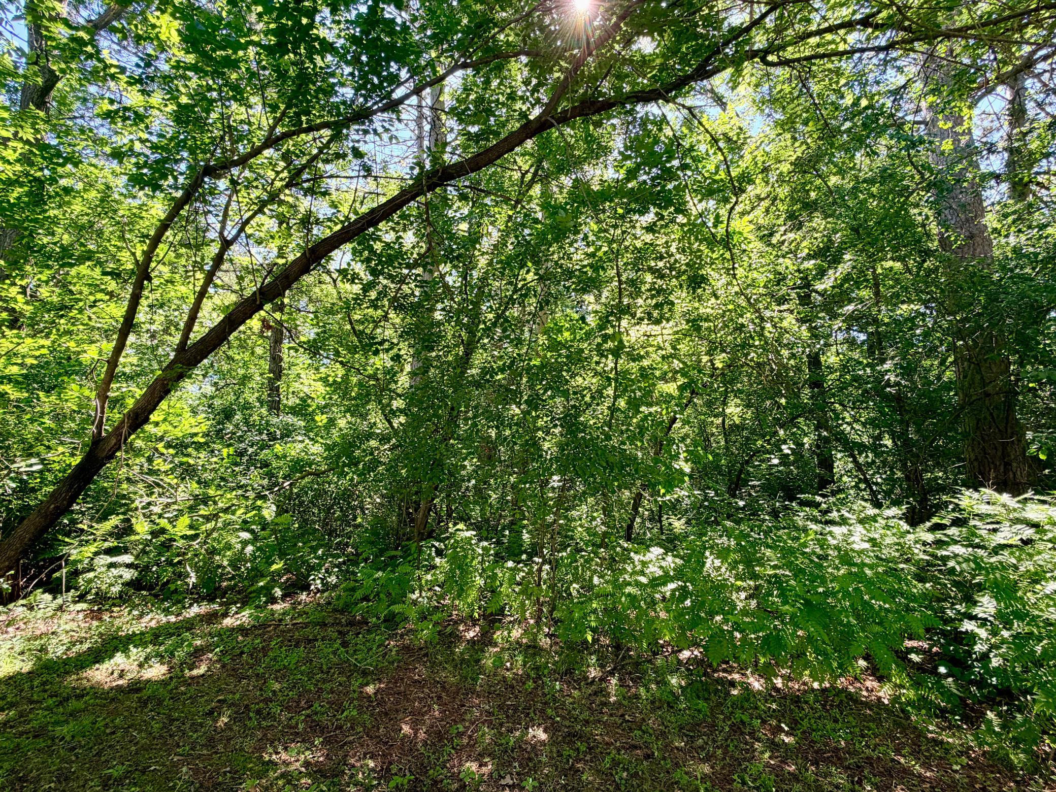 506 Central Avenue S, Park Rapids MN 56470 - Photo 8 of 37
