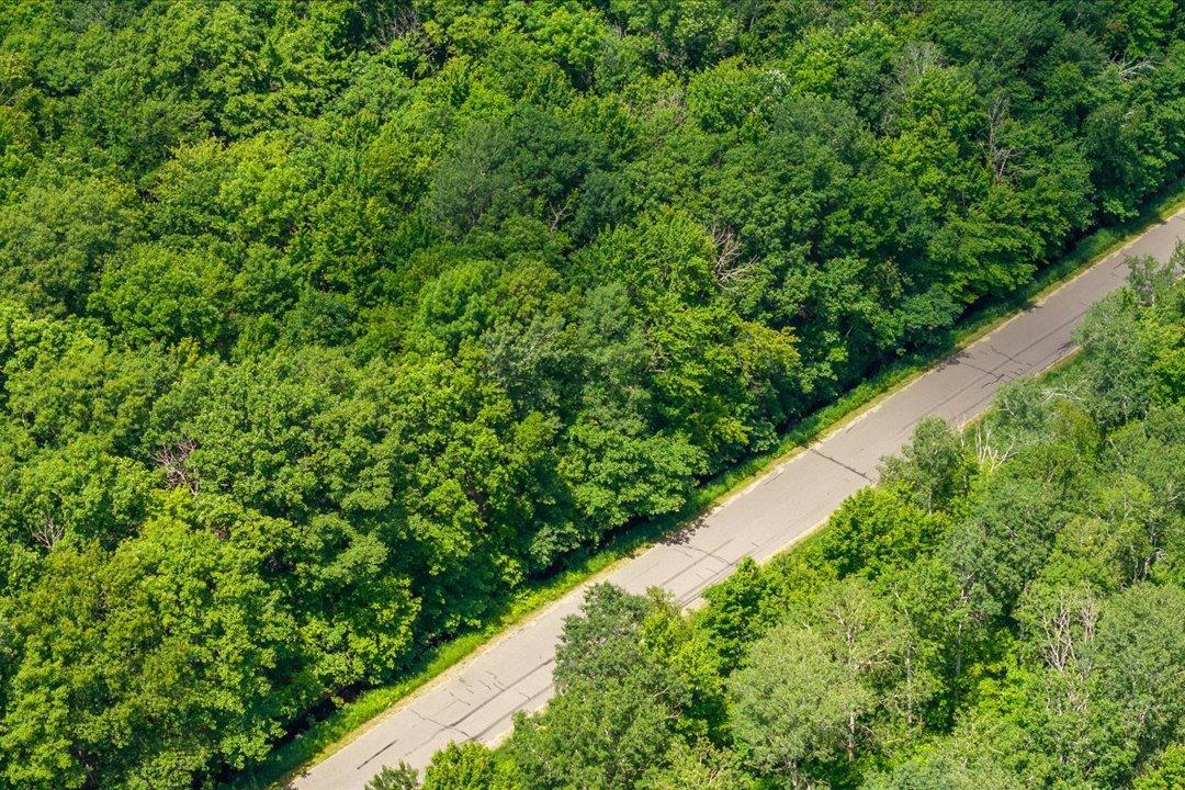 Tract A Maghan Road, Deerwood MN 56444 - Photo 4 of 10